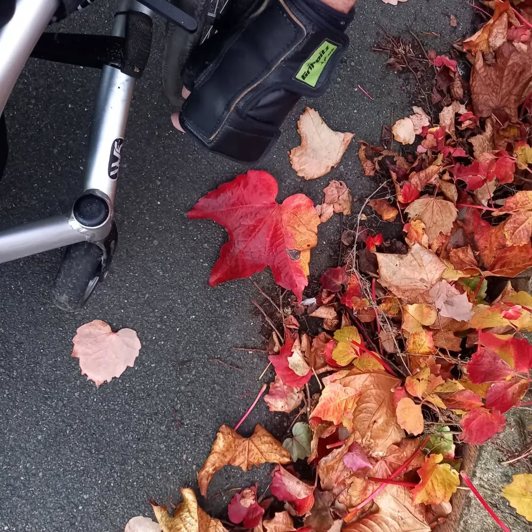 Autumn Stroll π Love the colours!!
Where have your Grippitz been today?
#wheelchairgloves #grippitz #autumn #tetraplegic