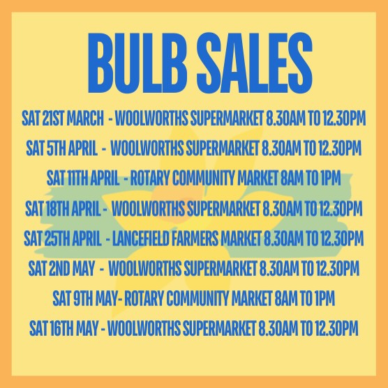 BULB SALES ARE BACK
This Saturday at Kyneton Woolies!
If you can’t make it this Saturday, click on the link in bio to buy bulbs online
Every bulb you buys help run our festival.