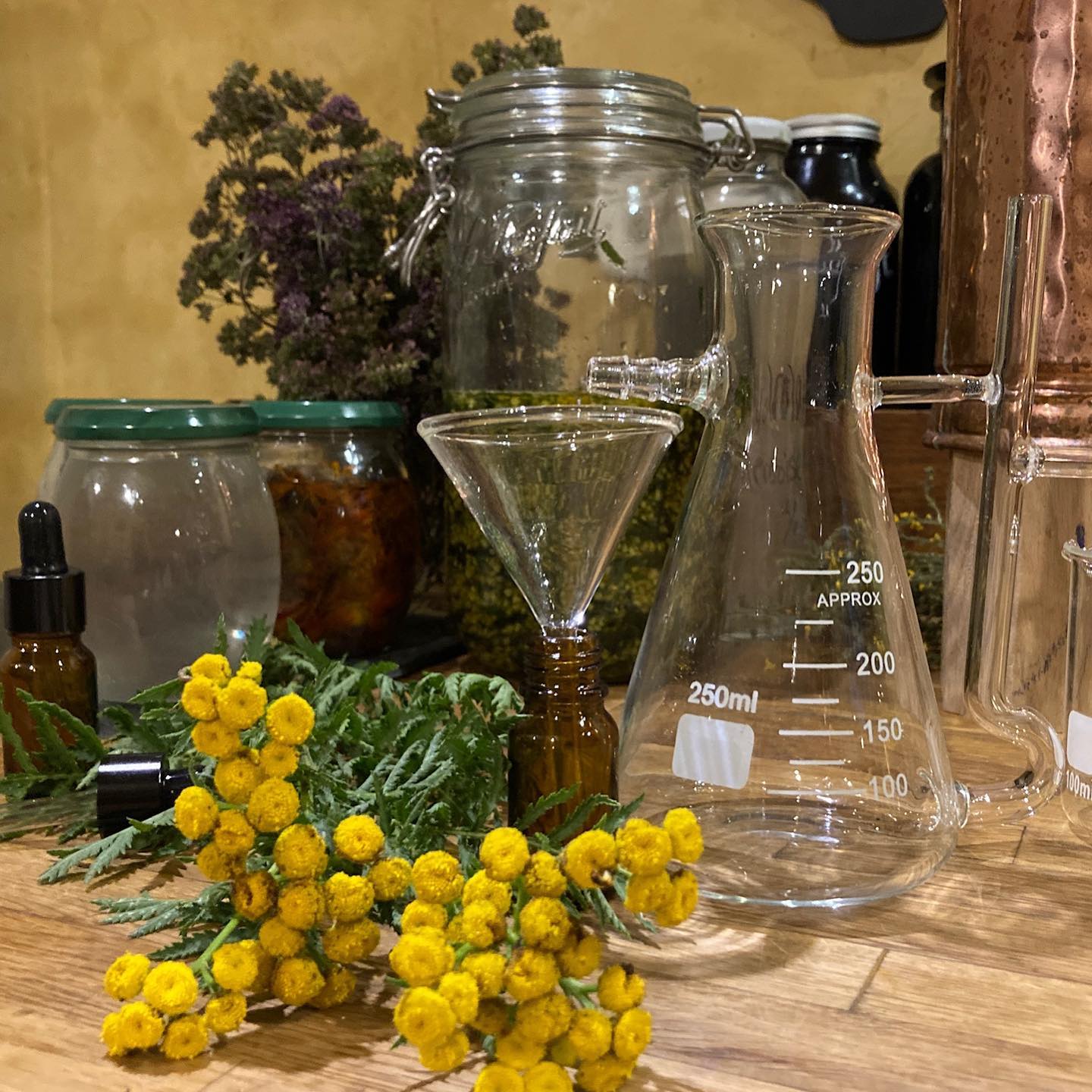 Concentrer les vertus de la nature
Sans les dénaturer ✨
Un kilo de plantes pour un litre d’hydrolat
Voilà notre cahier des charges !
#plantemedicinales#plantesmédicinales
#plantes #jardin #soinnaturel #hautsdefrance
#bio #herboristerie #phytotherapie #alambic