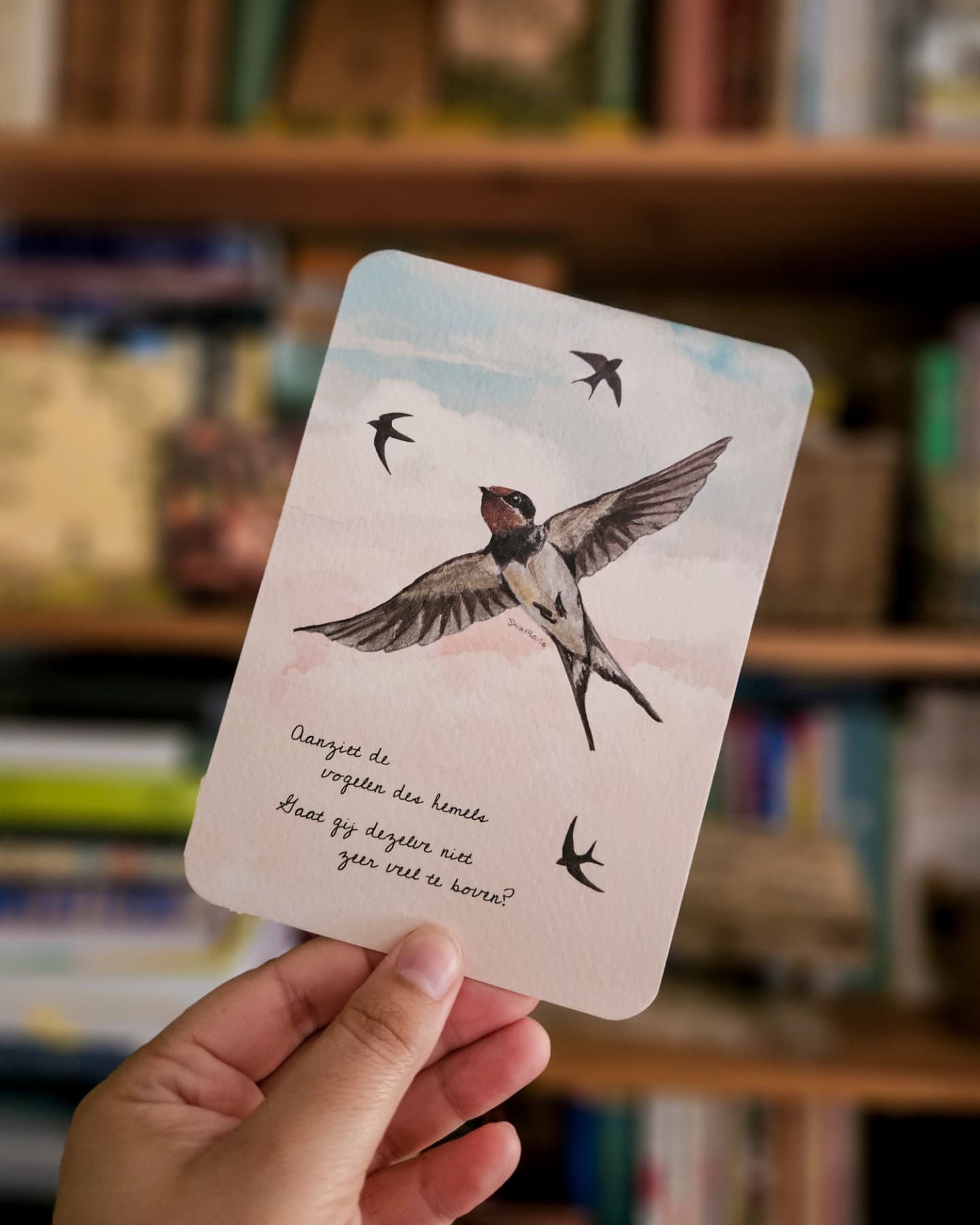 Geen stress, Mattheüs 6 😊 Nieuwe kaarten in de shop! Een echte zomerse kaart, vind ik 🌞
Op de voorkant staat, tussen de zwaluwen in de lucht, een ingekorte versie van Mattheus 6:26, maar achterop staat de tekst volledig uitgeschreven.
Er is keuze tussen Statenvertaling en Herziene Statenvertaling. Daarbij koos ik voor het eerst voor afgeronde hoeken. Wat vinden jullie ervan?