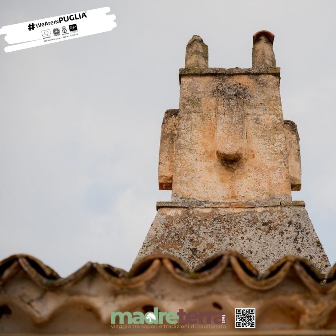 Stiamo rispolverando le radici della storia di Masseria Zaccagnino
Il weekend del 09 e 10 novembre รจ servito a questo e grazie a @madreterrafest
Tutto questo รจ possibile grazie a @pugliapromozione_aret che ha creduto e finanziato la rassegna.
POC Puglia 2014-20- Asse VI Azione 6.8, Puglia365 promozione del prodotto turistico
@pugliapromozione_aret
#weareinpuglia
www.madreterrafest.com