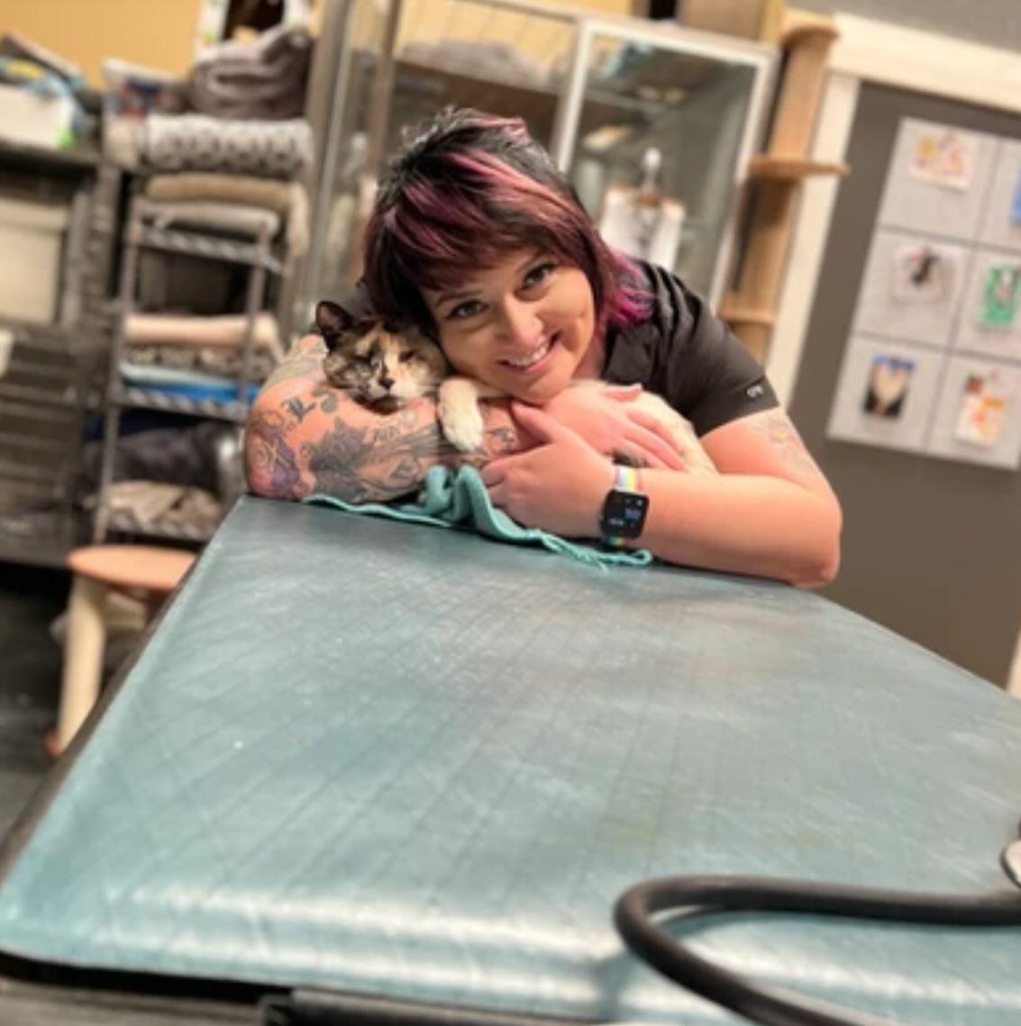 Our hospital kitties would like to wish a very happy National Veterinary Receptionist Week to our favorite girls at the front desk! They work so hard and deserve all love and kindness 🤍 @pokemontrainerkarl @jessica.gebbia