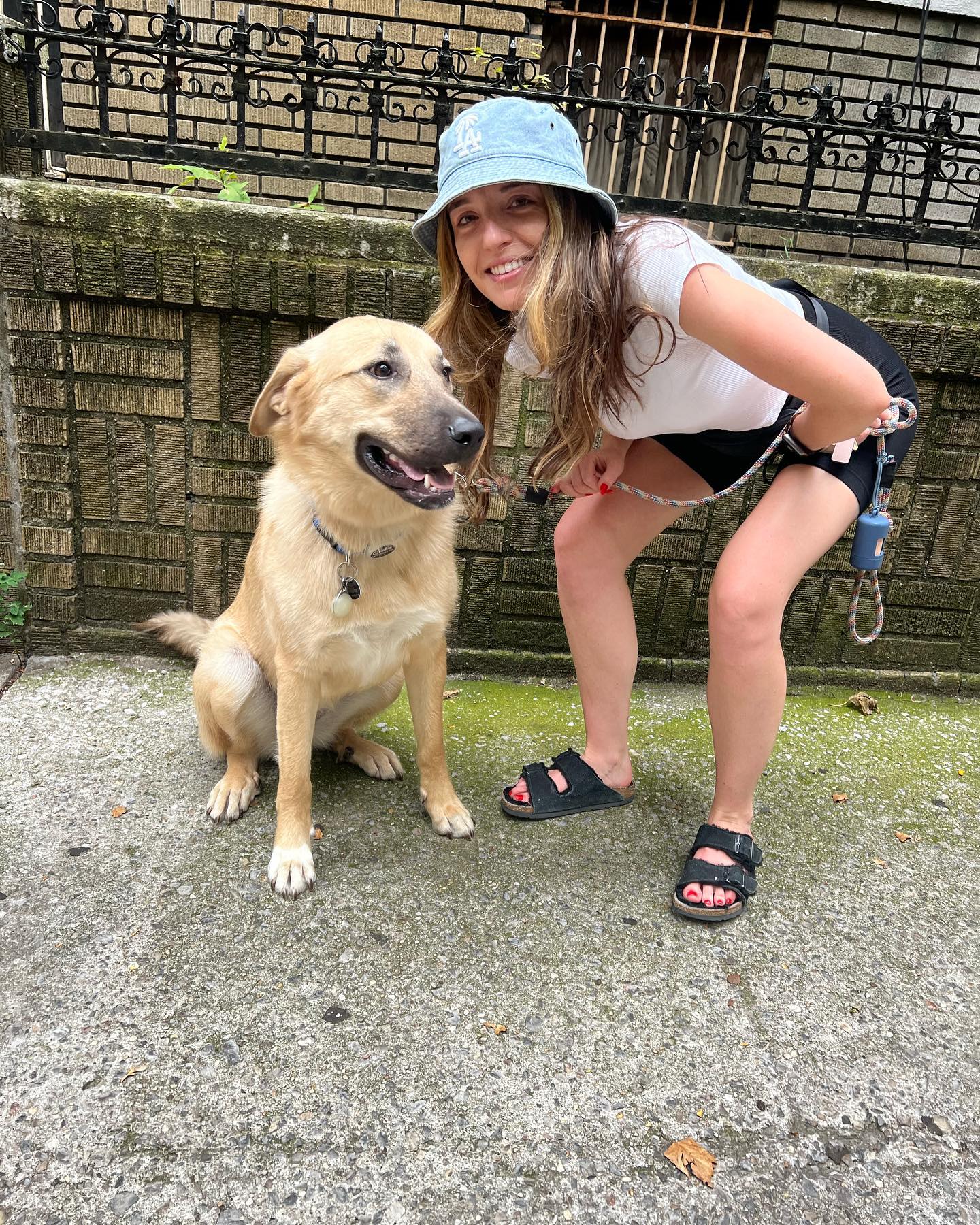 Greta Was Right At Home During Her Staycation With Kelly!
#houndboundfamily #houndbound #houndboundnyc #dogs #doglover #dogwalking #dogwalker #dogwalkernyc #dogsitter #dogsitternyc #dogsofinstagram #dogmom #pets #petlovers #petsitter #petsitting #nycpetsitter #nycpets #brooklynpets #brooklynpetsitting #bklyn #brooklyn #crownheightsbrooklyn #parkslopebrooklyn #prospectleffertsgardens #prospectparkbrooklyn