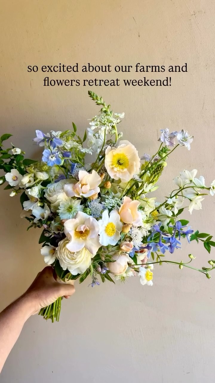 spring flowers, farms & food retreat!!
May 1-3rd
Come join us for a weekend celebrating farms and flowers in the Anderson Valley.
You’ll learn about some of our favorite local farms, the blossoms they grow, meet the extraordinary farmers, and watch a few demonstrations on how they build their gorgeous bouquets ... all paired with beautiful meals from start to finish.
We’ll begin Friday evening @offspringboonville with a specially curated spring menu.
On Saturday morning, after breakfast,
we’ll head to @filigreenfarm
for a tour with Annie Courtens,
their remarkable farm manager, followed by a flower-arranging demonstration, with details on what they grow and how.
Then we’ll return to the hotel garden for a picnic lunch.
Later that afternoon,
we’ll visit @pennyroyalfarm
to meet the goats and their new kids, and enjoy a relaxed wine and cheese tasting.
After a bit of rest,
Saturday night is yours to settle in for :
Perry’s five-course prix fixe dinner @boonvillehotel
followed by music by the bonfire.
On Sunday morning,
after breakfast and checkout, we’ll head to
the Philo Apple Farm @philoapplefarm
for a tour, then finish the weekend with a hands-on demonstration with Karen Bates—getting to know the family’s favorite trees, shrubs and the spring flowers they produce to make their gorgeous flower arrangements.
4 spots remaining · $475 per guest
(price is for the tours and demonstrations, shuttle, meals, service and tax;
rooms and beverages separate)
To join us:
*Book your room @ the Boonville Hotel.
*Note “Farm, Flowers and Food” in your reservation.
*We’ll enroll you in the retreat and send a detailed itinerary.
We open retreats to locals
2 weeks prior to the date of the retreat.
Give us a call to get on the waitlist!