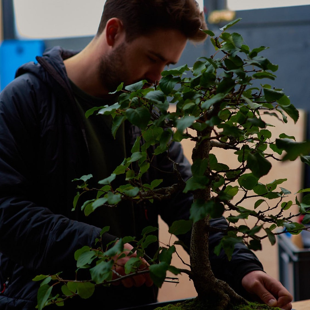 Beginners Bonsai Course