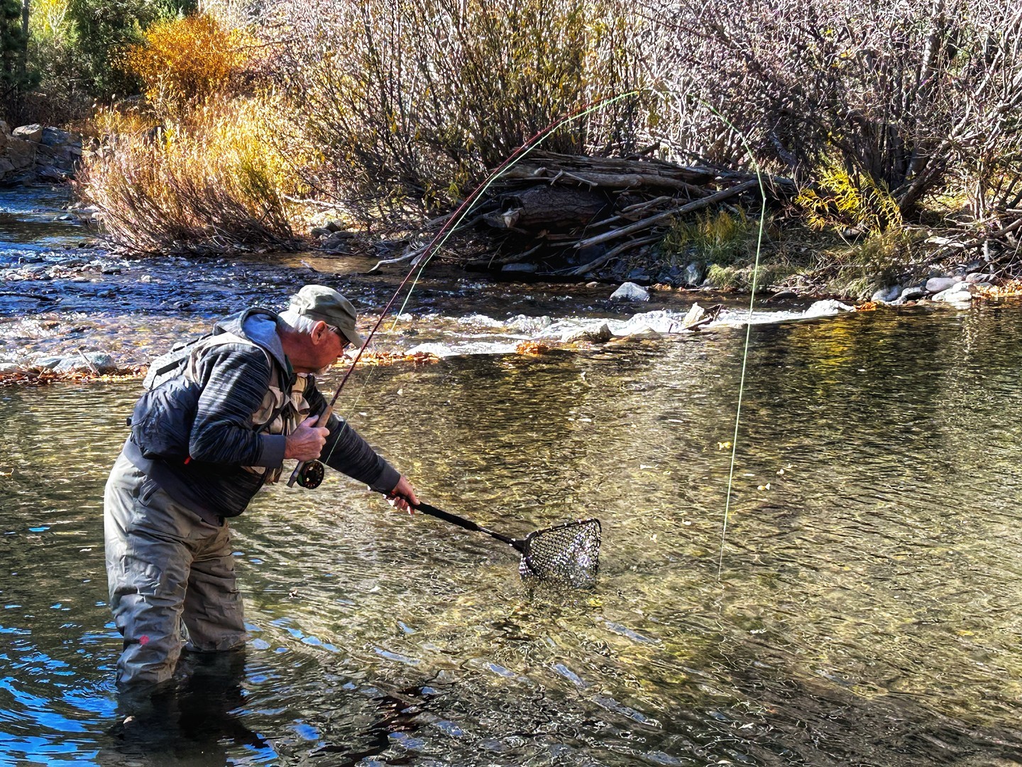Get ready to save BIG! We're offering 30% off discount on our Innovative Nets for a limited time only. Shop now before it's gone!
#discount #limitedtime