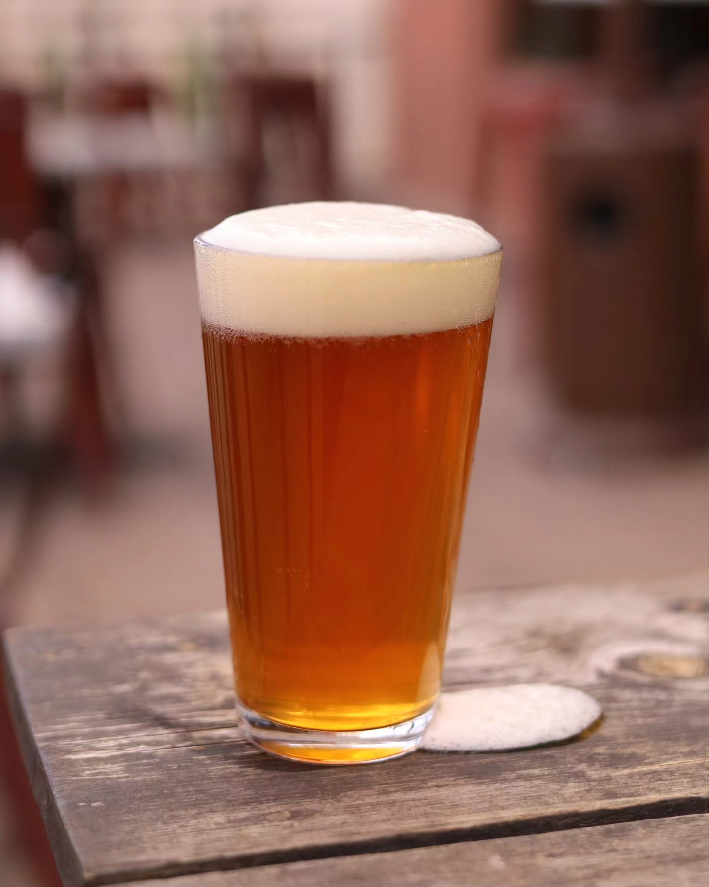 GET AHEAD of the weekend with a cold, crispy brew while you croak your heart out at Karaoke! Both of our taprooms have karaoke starting tonight at 7pm!
#littletoadcreek #lascruces #silvercity #silvercitynm #lascrucesnm #craftbeer
