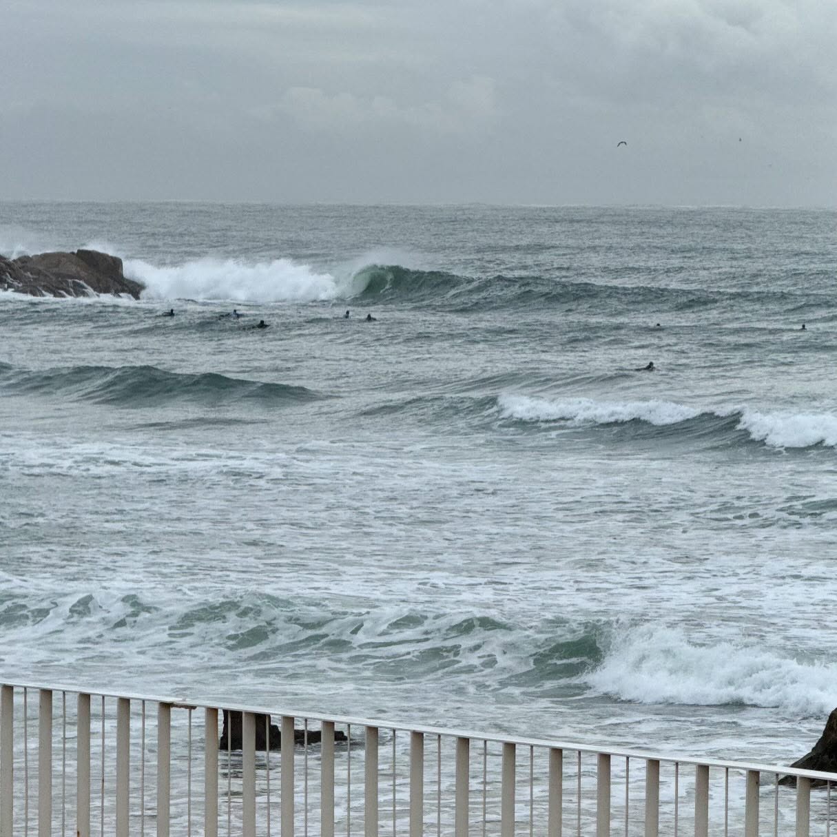 Pre-winter at the home break! Saturday’s session was a fun one … cheeky insiders, Castelo’s corner A frames, long lefts with the right tide and the occasional blooper set! Assorted rides with 6’10 and 8’11 B3 Bonzers, 8’0 Panacea egg 2+1 and a 9’6 scout glider!
#surfporto #surfeurope #surfportugal #surfclub #surfboardclub #surfingwithfriends #surfingwithfriendsisbetter #bonzers #bonzer3 #campbellbrothers #joshhallsurfboards #arenalsurfboards #surfboard #surfboards #eggsurfboard #glidersurfboards #gliders #scoutgliders #scoutglider #surfboardfins #surfboardfin #101fins #bamboofin #bamboofins #finjak #finjaktoolfree #finjakeu #finjakuk