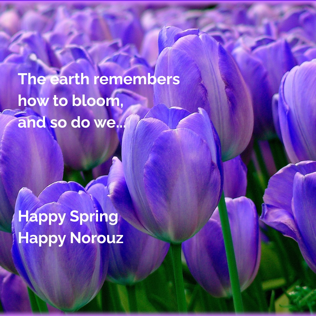 In hope of seeing better days for the world. 💜 #spring #norouz #i̇ran
