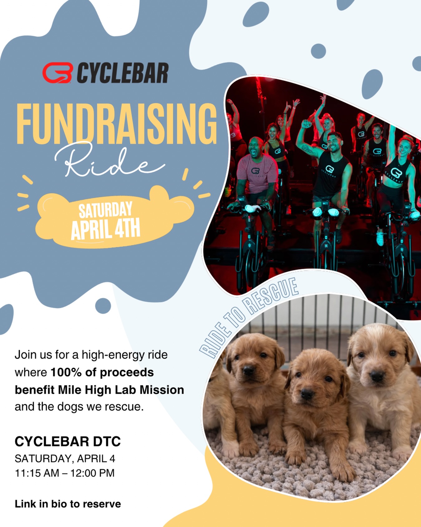 Clip in for a cause 🚲🐾
We’re partnering with @cyclebar DTC for a Ride to Rescue benefiting @milehighlabmission. Every bike booked helps us rescue, transport, and care for Labs in need.
📍 @cyclebar_dtc
7600 Landmark Way Ste A201
Greenwood Village, CO
🗓 Saturday, April 4
⏰ 11:15 AM – 12:00 PM
🚲 44 bikes available
💛 $25 per bike — 100% of proceeds go to MHLM
Come a little early to meet some adorable puppies and mingle with our volunteers before the ride! 🐶
Bring a friend, break a sweat, and help us change more lives — one ride at a time.
Reserve your bike through the link in our bio before spots fill!
#milehighlabmission #ridetorescue #denverevents #cyclebar #cyclegives