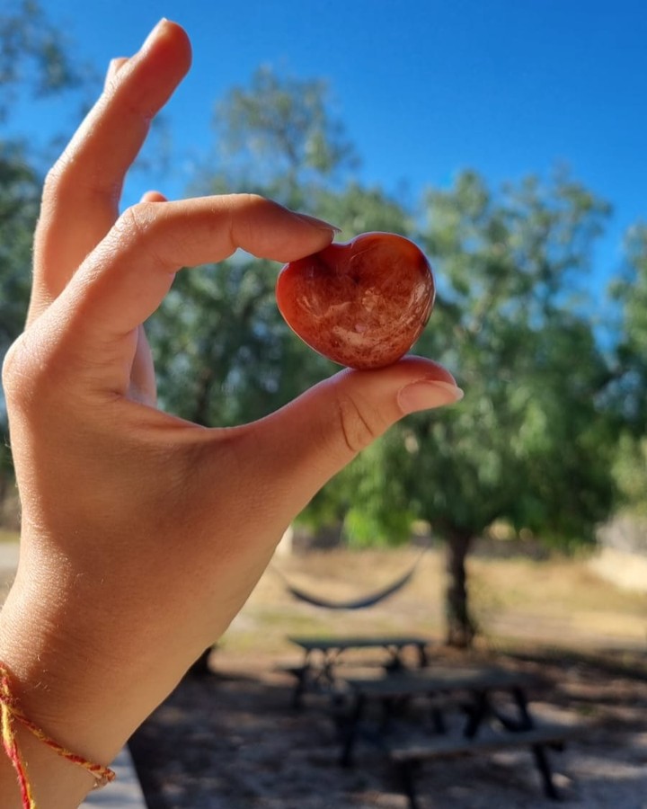 soulfilling moments ✨
red agate = warrior stone - healing therapy with the sweetest Marij - (y)in moment - reflections - yoga ritual - sound healing concert - connecting with ourselves, each other, and nature - super full moon gazing - ice cream at one of my favorite places in Belgium - wellness moment in nature 💗
#healing #selfcare #wellness #wellbeing #healingjourney #naturelovers #nature #mindfulness #mindfulliving #healthylifestyle