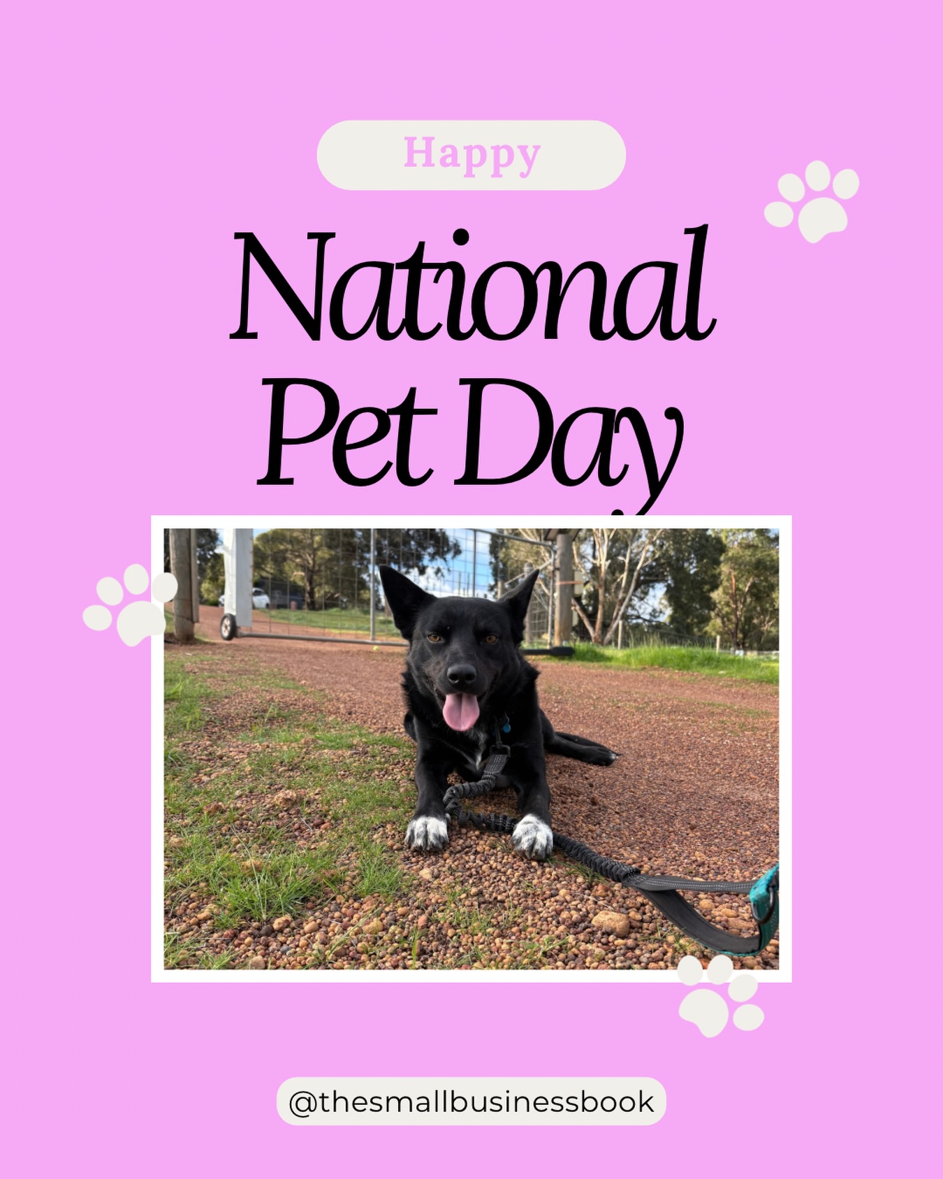 Happy National Pet Day!
Pets bring so much joy, comfort and personality into our lives. Whether they are keeping us company during the workday or demanding attention during Zoom calls, they definitely make life more fun!
Comment your pet’s name below.
.
.
.
#thesmallbusinessbook
#perthbookkeeper
#perthaccountant
#WAbookkeeper