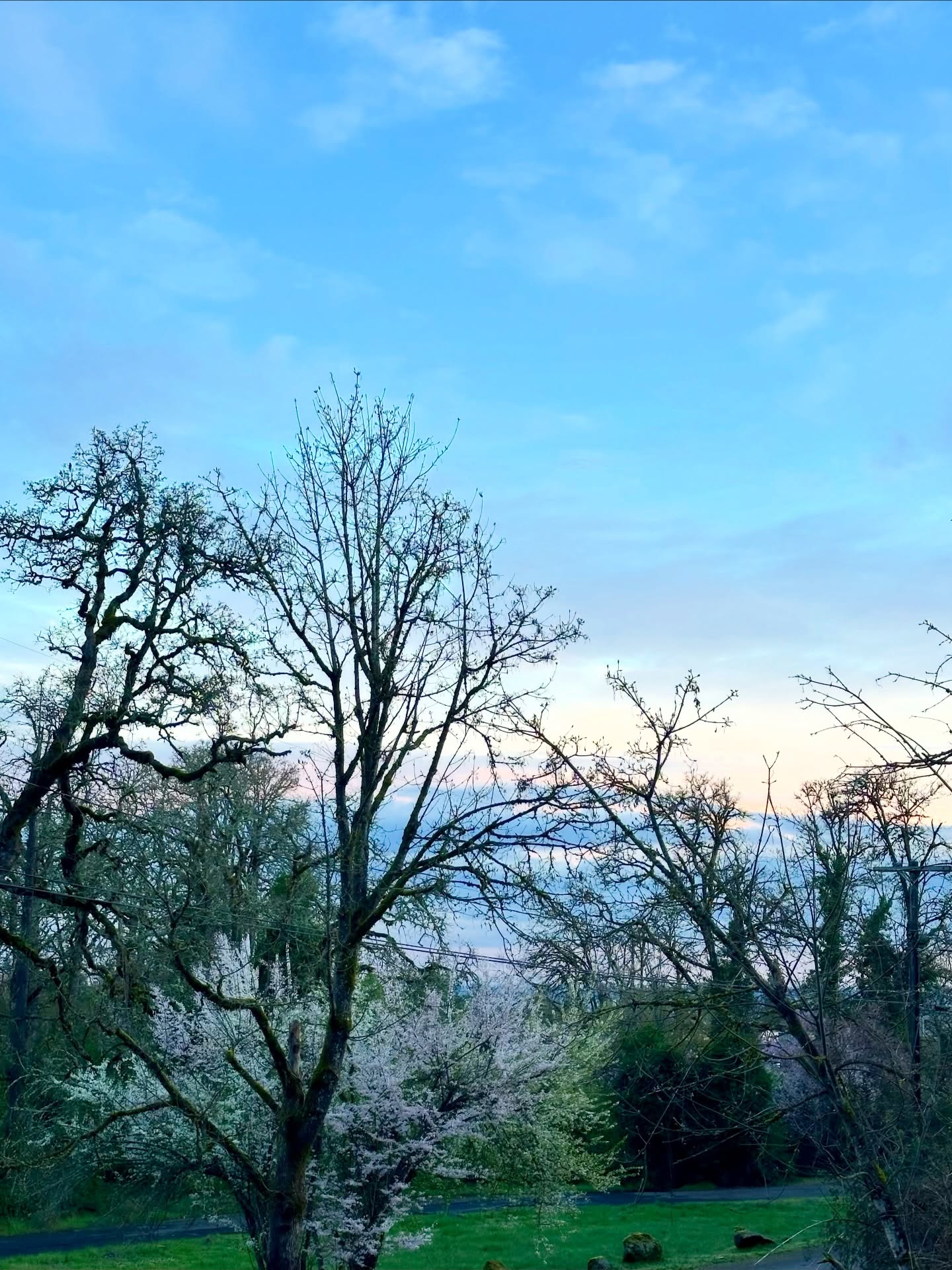 It’s Spring! ✨🐣🌼