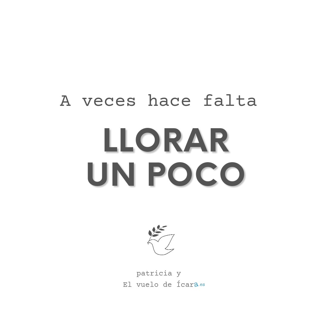 .
.
.
.
.
.
#elvuelodeicara intentando emprender el vuelo ;)