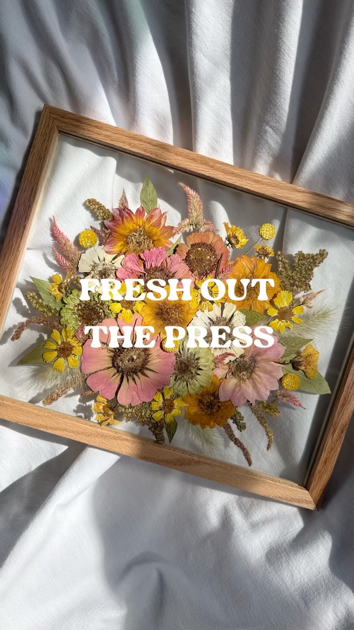 Lately 🌸🌻🌺🌼🌷All custom pieces, including wedding and memorial flowers and a one of a kind floral flag.
#pressedweddingbouquet
#flowerpreservation
#pressedweddingflowers