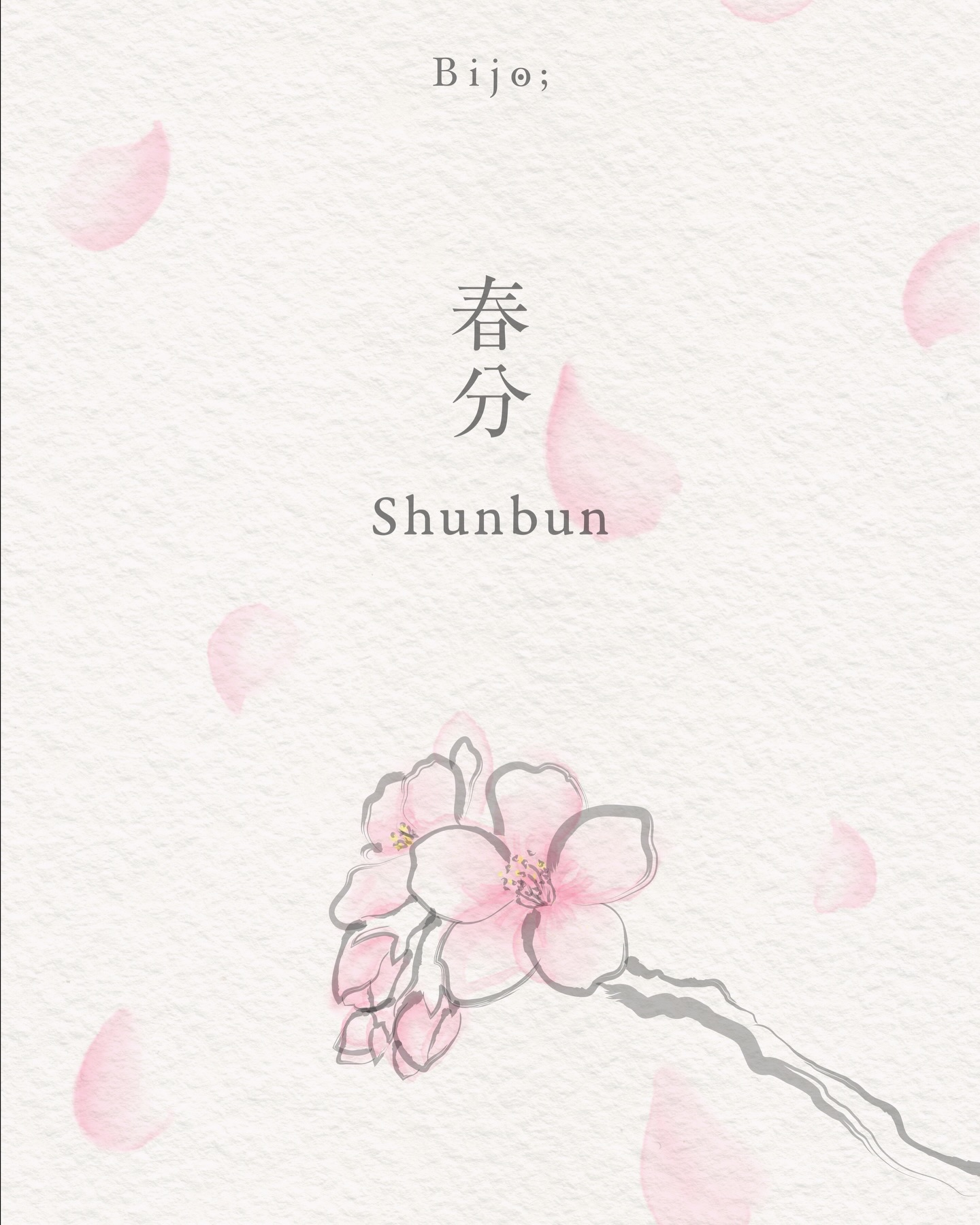 Shunbun 春分
Équinoxe de printemps — 20 mars
Dans le calendrier traditionnel japonais, Shunbun marque un point d’équilibre parfait : le jour et la nuit s’alignent, le yin et le yang se répondent à parts égales.
C’est un moment charnière, où l’hiver s’efface sans disparaître complètement, et où le printemps s’installe avec douceur et précision.
La lumière change, elle ne se contente plus d’éclairer, elle réchauffe, révèle, éveille.
L’air devient plus mobile, les sons plus présents, la nature semble entrer dans un mouvement plus affirmé.
Shunbun se déploie en trois micro-saisons, les kō, chacune traduisant une avancée tangible du printemps :
– Suzume hajimete su wo tsukuru
Les moineaux commencent à nicher
20–24 mars
– Sakura hajimete saku
Les cerisiers commencent à fleurir
25–29 mars
– Kaminari sunawachi koe wo hassu
Le tonnerre commence à gronder
30 mars–3 avril
Un temps d’équilibre et de bascule.
Shunbun nous invite à nous aligner, à retrouver une forme d’harmonie intérieure, au moment précis où la nature reprend pleinement son élan.