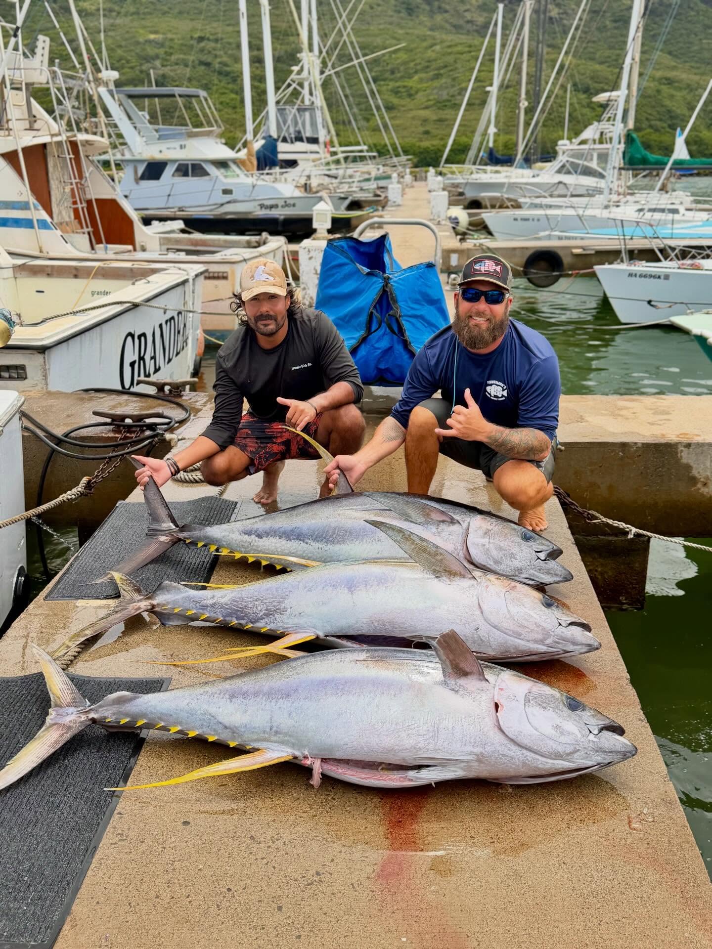 Went 3/6 on Ahi on a shared 6-hour charter — absolute grind, but worth every second. Everyone on the boat needed a nap after this one 😴🎣
📞Book your trip: +1 (808) 652-4556
🎣Go Fish Kauai
#sportfishing #ahi #yellowfintuna #fish #fishinglife