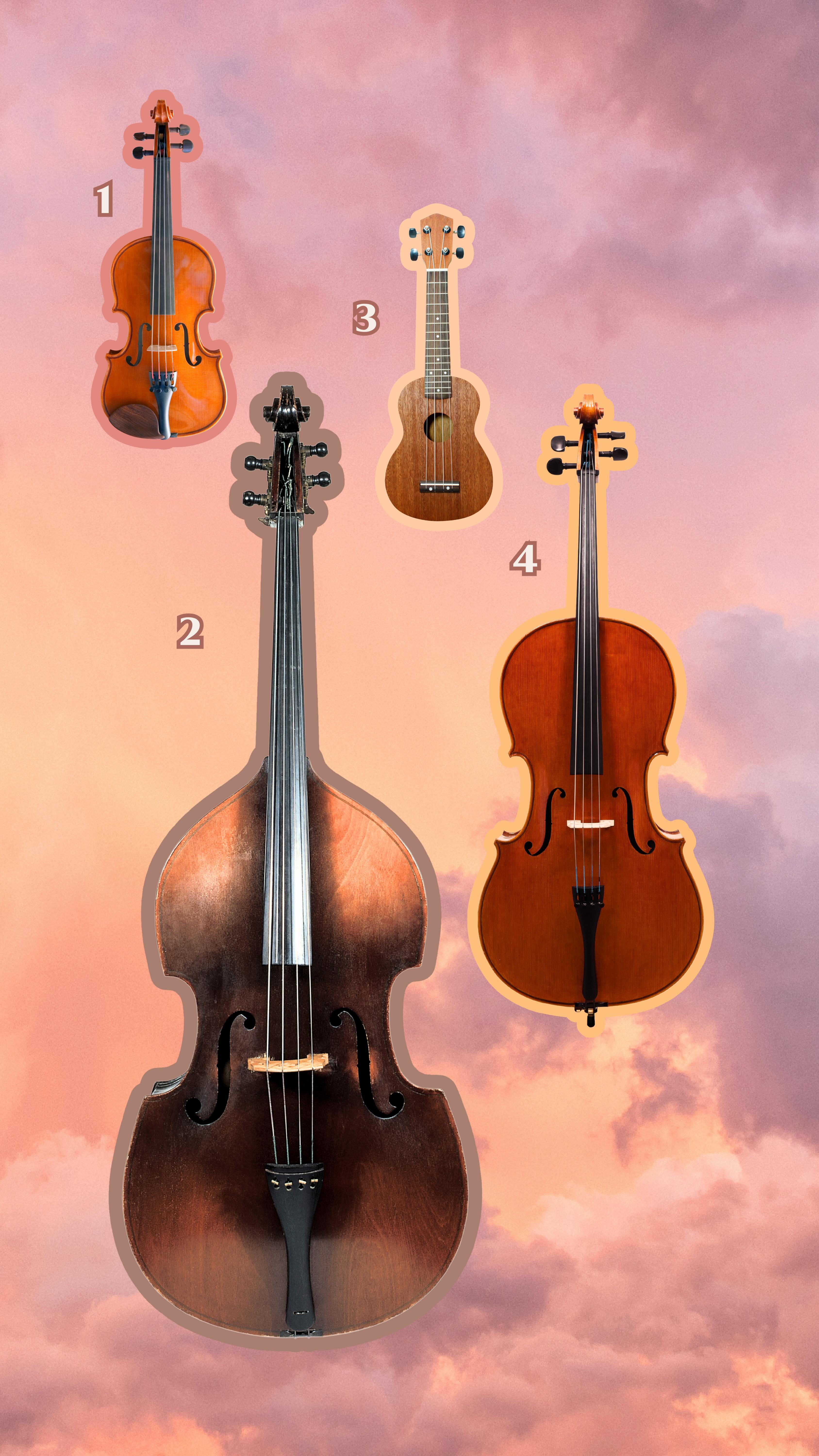 Stringed instruments are the sound I love most. Do you know the name of each one? 🎻 When you come to our shows, you will be wrapped in the most beautiful feeling