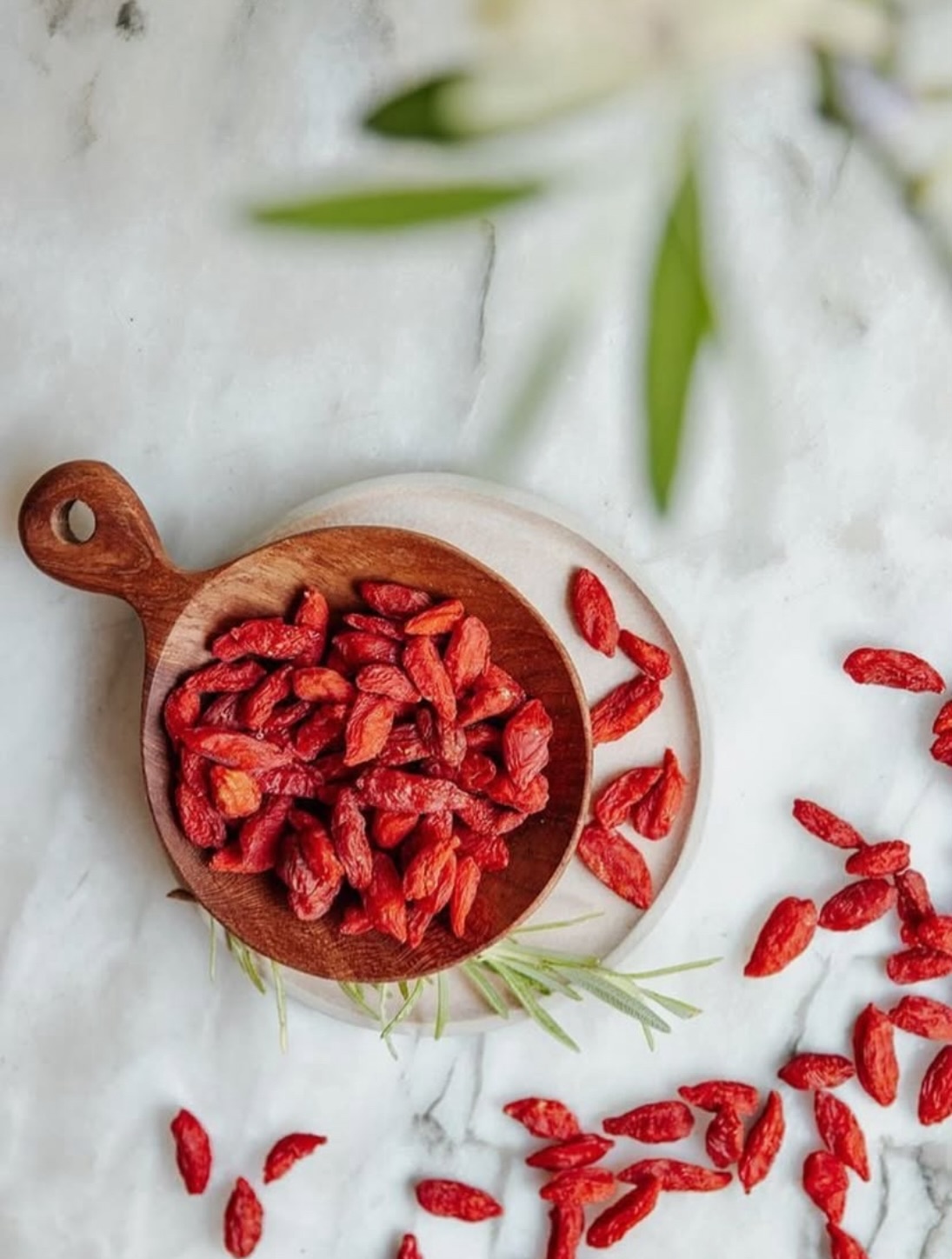 Arvo Blonde Shampoo is enriched with goji berry extract to help protect your hair from damage, enhance shine, and keep blonde and grey tones looking bright and fresh.
Rich in antioxidants and vitamins, it works from root to tip to nourish your hair, leaving it soft, healthy, and full of life 🍒
#arvohaircare #veganhaircare #blondeshampoo #gojiberryextract #australianhaircare