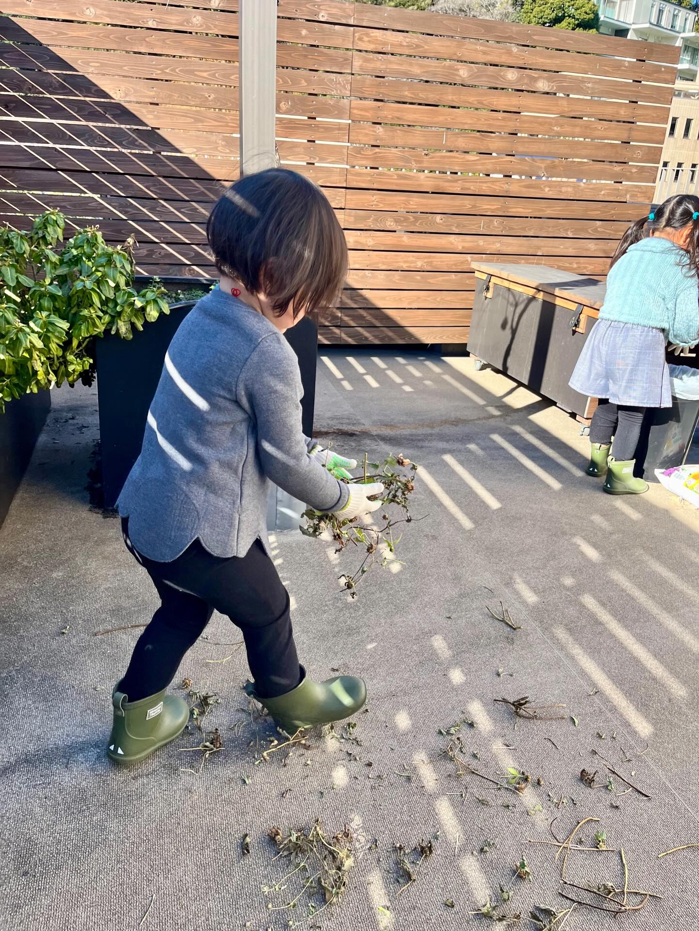 Caring for our classroom is caring for one another. From watering plants to tidying shelves, children take pride in contributing to their shared environment.
Save for independence inspiration!