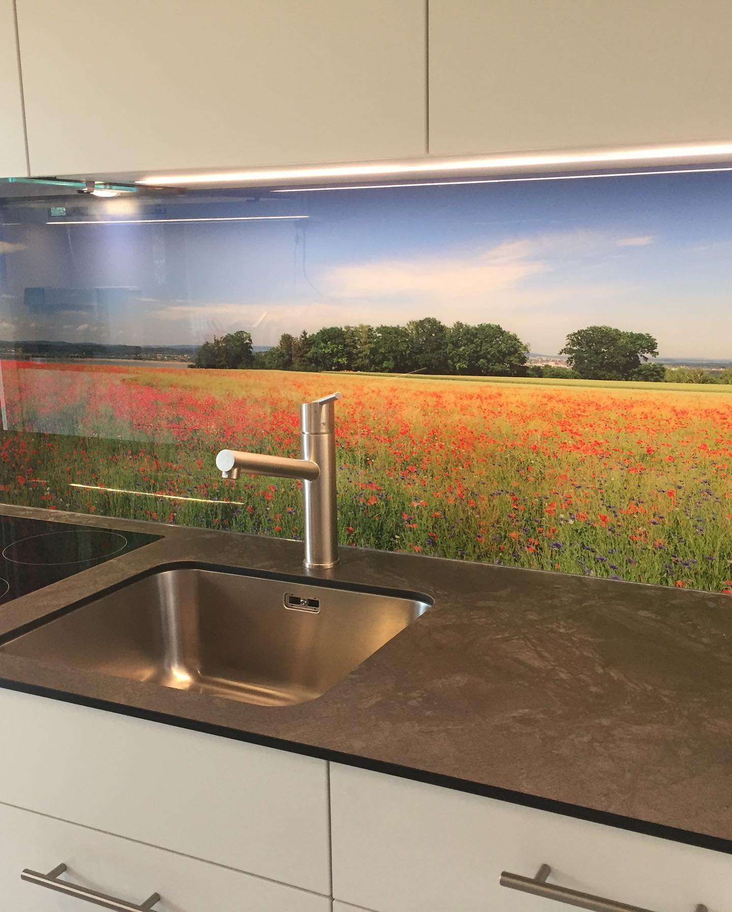 Küche mit Fotosujet-Rückwand auf engstem Raum
