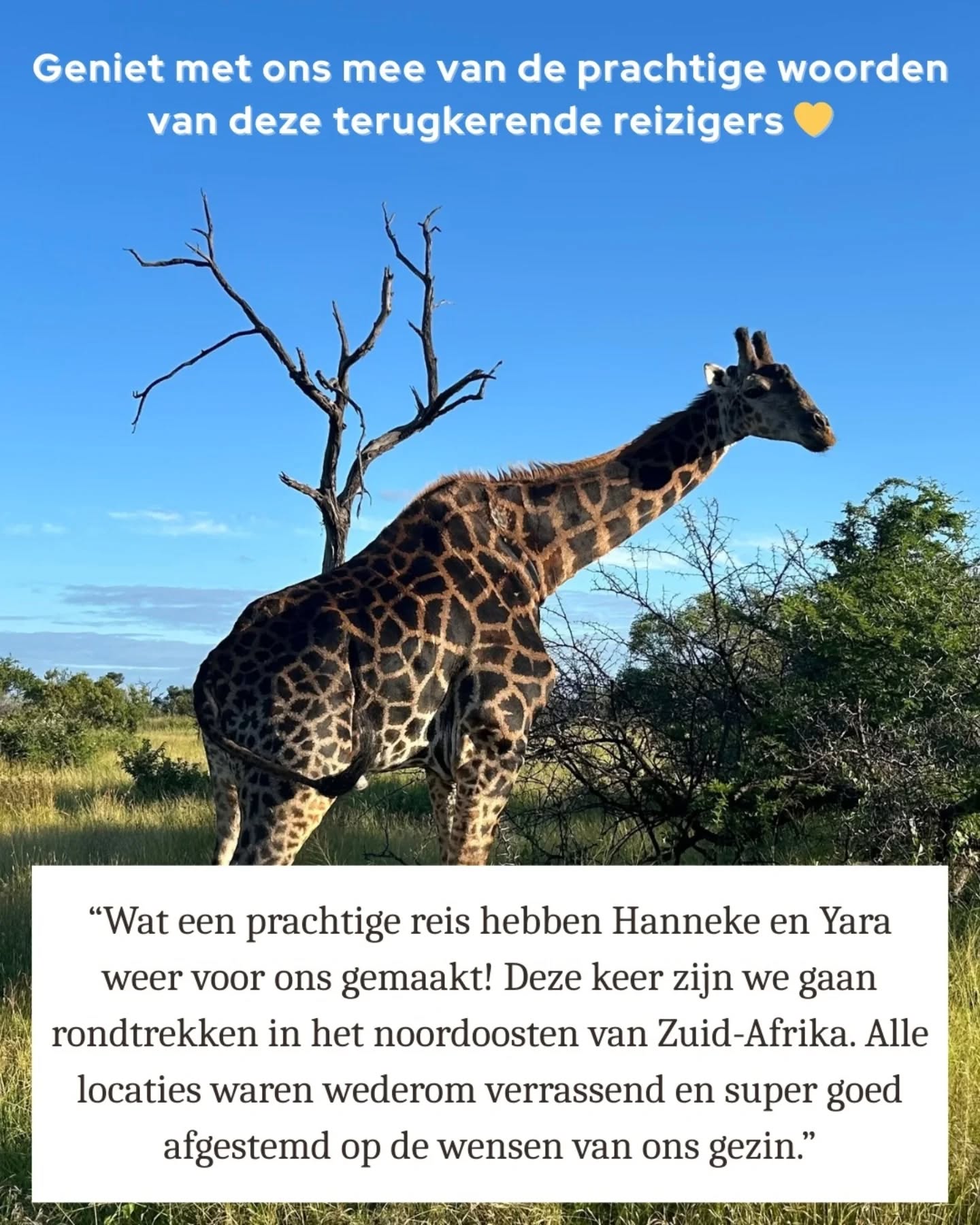 Van een avontuurlijke rondreis door het noordoosten van Zuid-Afrika tot bijzondere momenten in Botswana… deze reis had alles!
🐾 Spotten van leeuwen, hyena’s én een luipaard (droom van de kinderen!)
🌿 Avontuur met quad rijden in Hoedspruit en ziplinen in Magoebaskloof
🚲 Mountainbiken in de natuur
💦 Ontspannen bij het zwembad en de hot tub
🦓 En als absolute highlight: Zebra’s Crossing
Wij zijn zó trots dat we opnieuw een reis mochten samenstellen die perfect aansloot bij dit gezin 🙌
Dank voor het vertrouwen en de mooie woorden. We kijken nu al uit naar jullie volgende Afrika avontuur!
#jaafrikatravel #zegookja #review #safari #zuidafrika botswana familytravel reisopmaat avontuur travelafrica
@zebrascrossinglodge