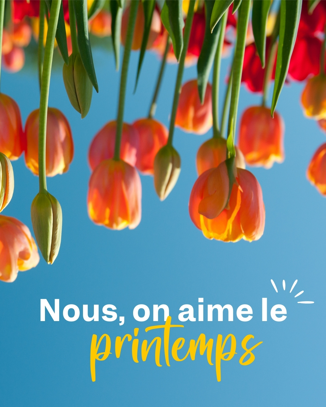 đ·Le printemps arriveâŠ
Et si votre communication en profitait aussi ?
Nouvelle saison, nouvelles idées, nouveau souffle.
Parfois, il suffit dâun petit ajustement
pour faire toute la différence.
Chez brut de comâ, nous adorons les renouveaux.
On en parle ? đ·