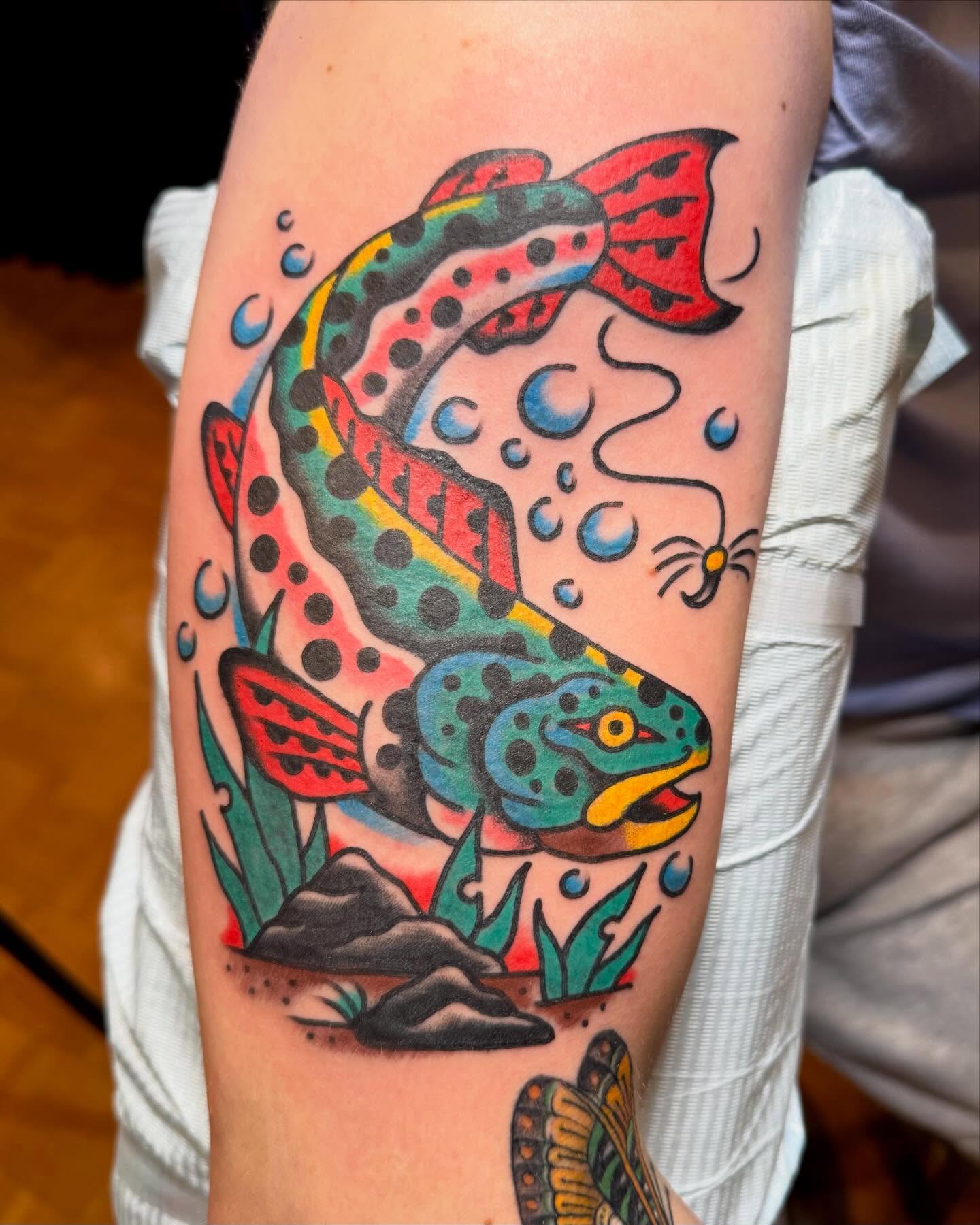 Couple fish made in the Queens land 🎣 DM to book a scene from nature 🏝️🏕️