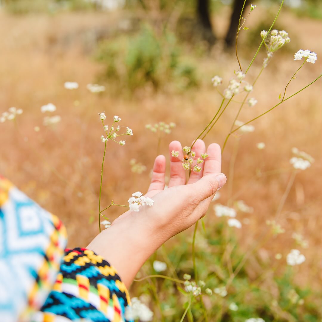A primavera é a época em que os campos se enchem de verde e flor no Alentejo, já temos dias mais longos com temperaturas amenas e a noite ainda prefere o aconchego à lareira. Este é o momento em que se sente o renascimento em cada contemplação da serena paisagem alentejana. O chilrear dos pássaros é constante, as aves migratórias cruzam os céus e os passeios pelo nosso riquíssimo património cultural, gastronómico e vinícola ainda são calmos e sem o bulício de outras épocas.
A pensar especialmente na primavera, o Montimerso criou uma oferta - Welcome Spring! - que oferece a oportunidade de alargar a sua estadia para 3 noites (pelo valor de 2) permitindo usufruir com calma e em pleno do Montimerso e de toda a nossa zona.
Oferta: três noites numa suíte standard, suíte premium ou apartamento T1, com o pequeno-almoço incluído, pelo preço de 2 noites.
Spring is the season when the fields of the Alentejo burst into bloom, the days grow longer with mild temperatures, and evenings still call for the warmth of the fireplace. This is the time when you can feel the rebirth in every moment spent gazing at the serene Alentejo landscape. The chirping of birds is constant, migratory birds cross the skies, and strolls through our rich cultural, gastronomic, and wine heritage are still peaceful, free from the hustle and bustle of other seasons.
With spring in mind, Montimerso has created a special offer—Welcome Spring!—that gives you the chance to extend your stay to 3 nights (for the price of 2), allowing you to fully and leisurely enjoy Montimerso and our entire region.
Offer: three nights in a standard suite, premium suite, or one-bedroom apartment, with breakfast included, for the price of 2 nights.
info: www.montimerso.pt
info@montimerso.pt
#spring #primavera #3=2 #welcomespring #monsaraz #alqueva #alentejo #slowturism #slowdown #peacefull #springstay #comvagar #montimerso #montimersoskyscapecountryhouse