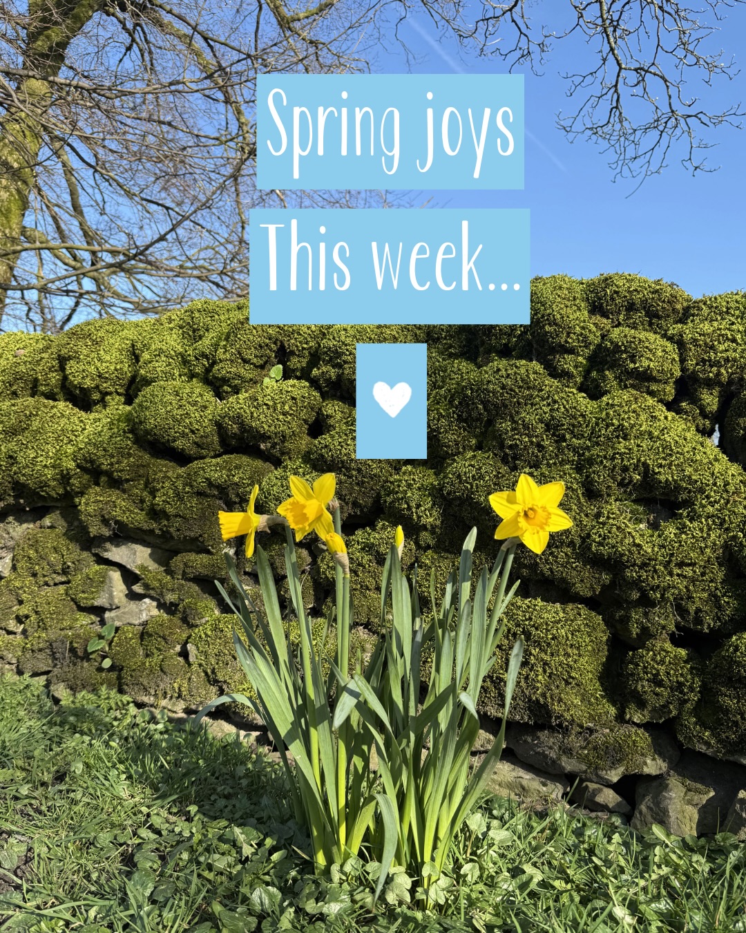 A few spring joys this week 🌼💛
From making lovely Easter card orders, to enjoying cups of tea in the sunshine 🙌🏻 There’s so much joy to be found in the little moments 😁
The sunshine really does make the biggest difference! ☀️😍🙌🏻
#springjoys #littlejoysinlife #springsunshine☀️ #eastercards #illustratedcards 🐣💌🌼💛