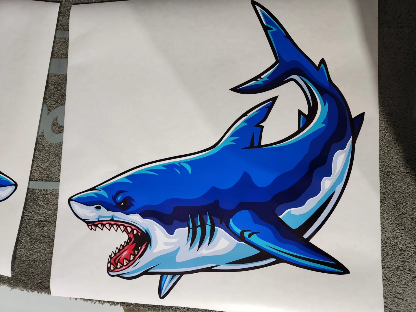 Some giant shark stickers to "hide a scratch" on Dad's boat!
Can't wait to see how it looks when he puts them on.
#coolprintau #custommade #heattransfervinyl #vinylstickers #greatwhiteshark #fishing #boating #rolandbn20 #customstickers