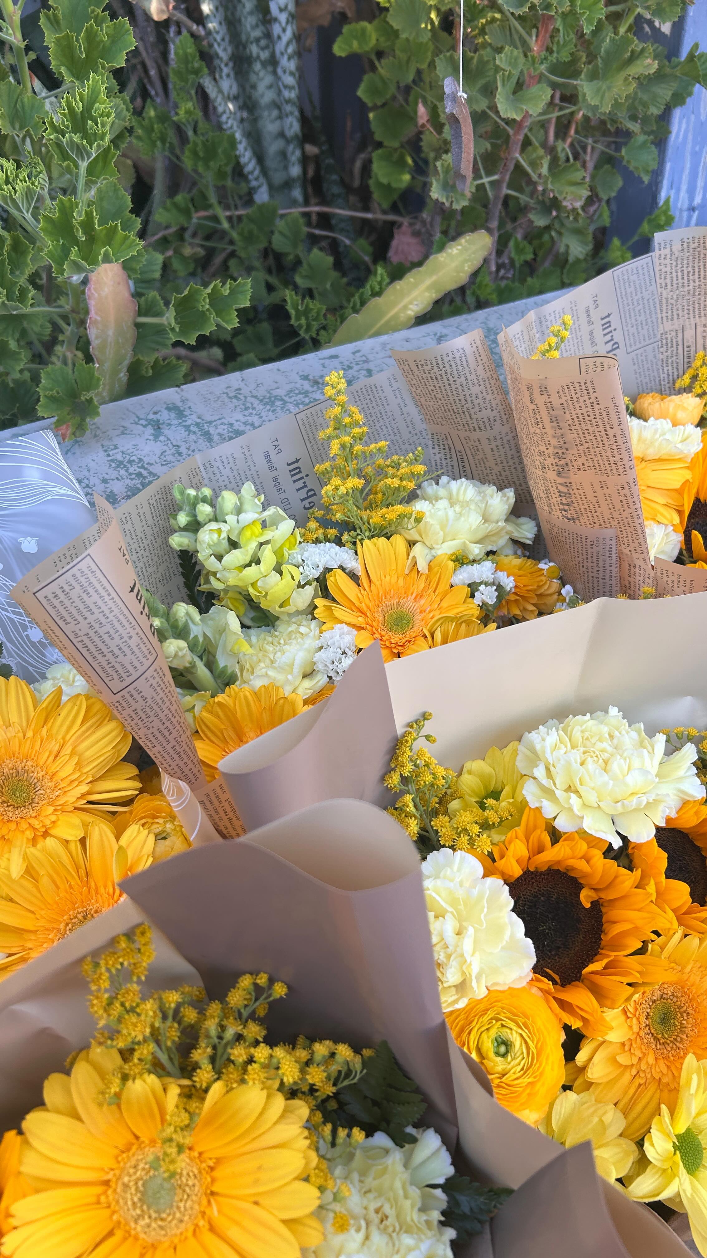We usually put music over these but why bother when the birds are singing for us 🤗🤗 que rico son los sonidos de la naturaleza ☀️🌅 Don’t forget tomorrow is the first day of spring! Buy your yellow flowers for some much needed joy and positivity ⭐️💛