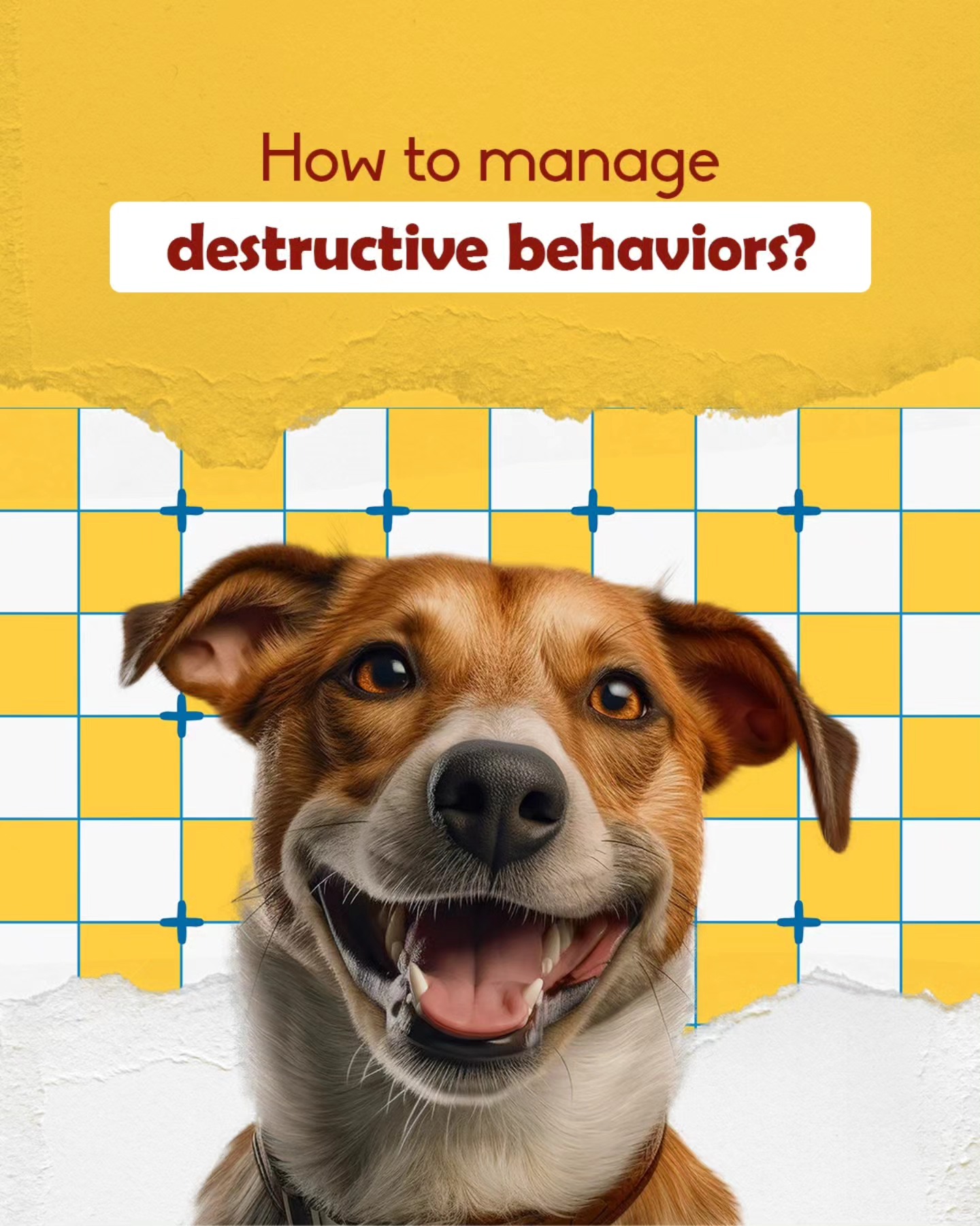 Destructive pet? You're not a bad pet parent. �Scratched sofas, chewed-up slippers, chaos at 3 AM? We’ve all been there. 🐾
This post breaks down why it happens and how to fix it, with tips that work for both cats and dogs.
From redirection to routines, boredom busters to safe spaces—swipe through for real solutions that actually help. 💡 💫