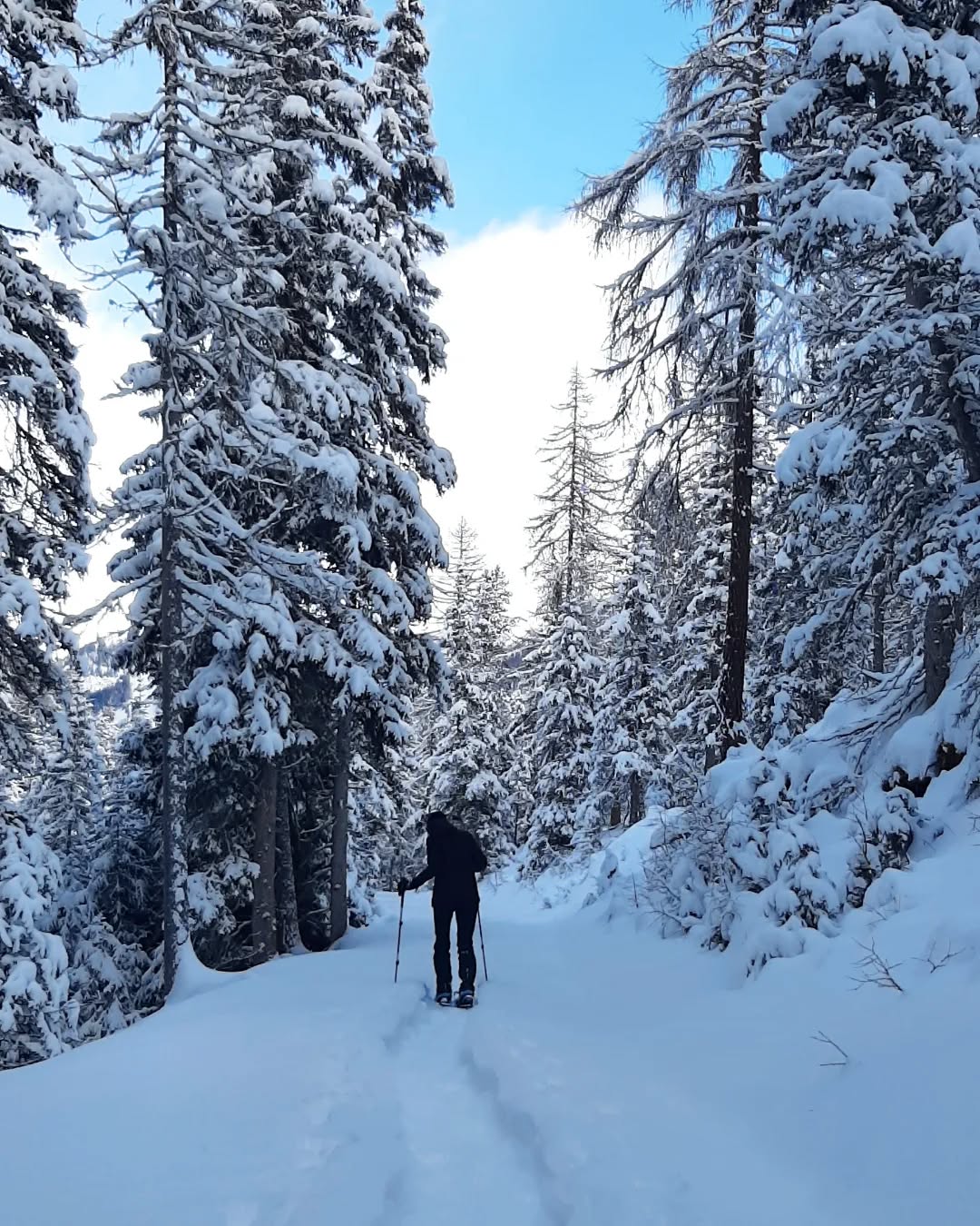Januar-Vibes ❄🤍
Von Schneeschuhwanderungen und Rodelpartien in der Winter.Wunder.Welt. über Skispaß und Winterwanderungen bis hin zu Nacht-Skitouren ⛄✨🤍
.
.
.
#visittirol #naudersunddu #naudersamreschenpass #winterwandern #schneeschuhwandern #skitourtirol #skitouring #Skifahren #wintersports #winterinthemountains #mountainpassion #bergliebe