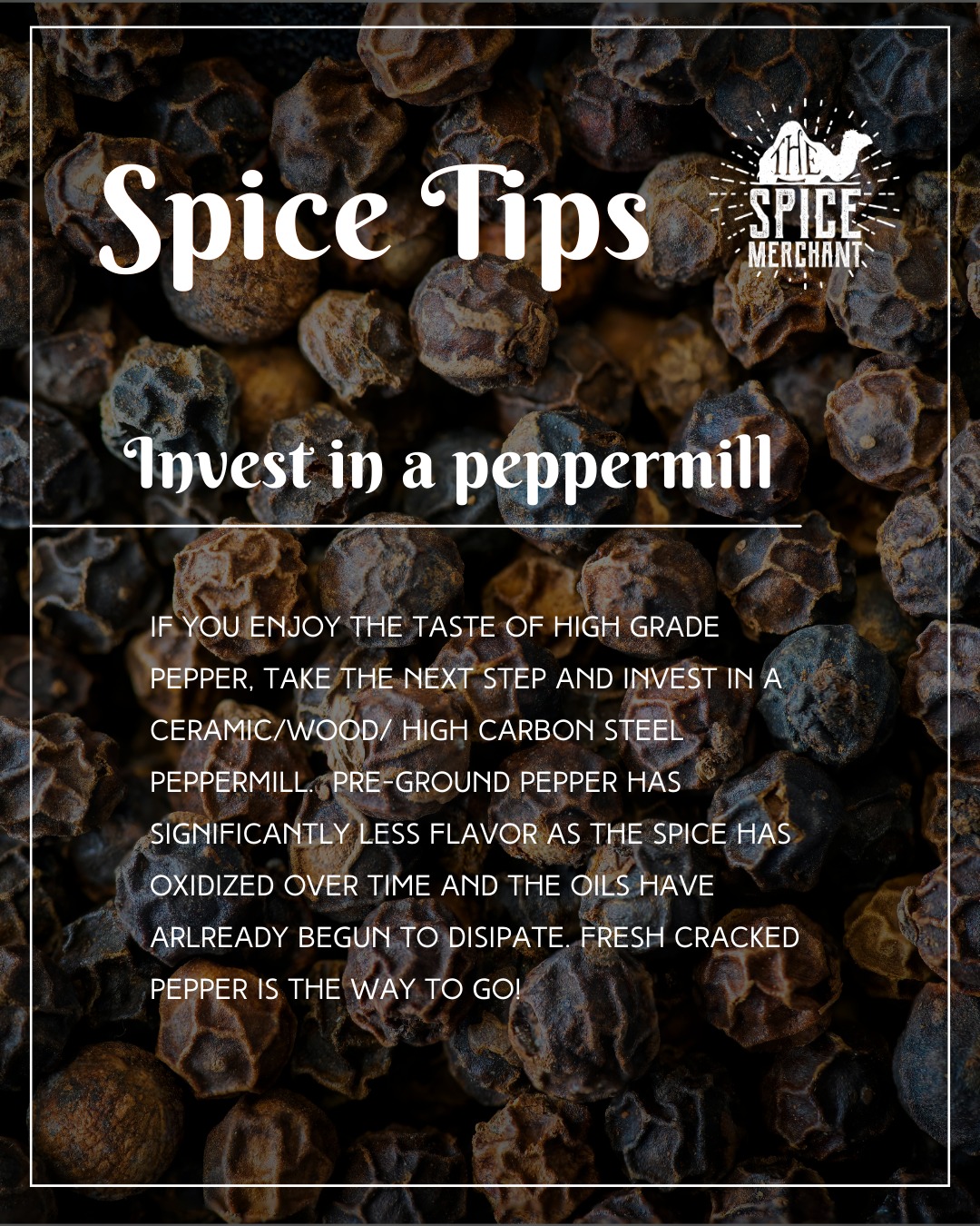 No matter what the AI robot tells you on the google machine... you do not need to spend $200 to get a decent grinder. Simply look for grinders that allow for adjustable grinds, hold a decent amount of peppercorns and avoid grinders with plastic mechanisms. Some trusted brands include Peugeot & Fletchers mill.