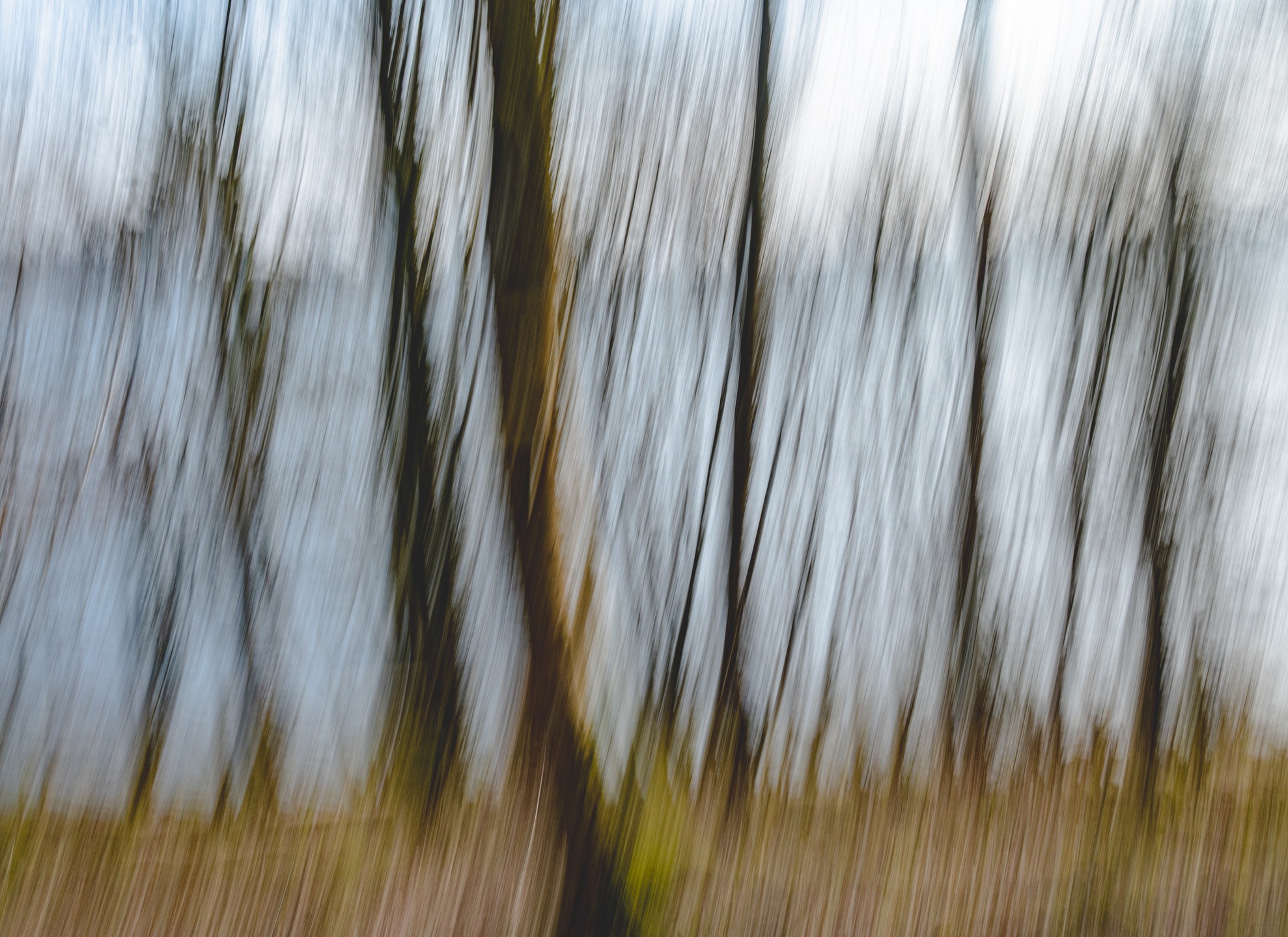 Creative Landscape Photography Photo Walk, March 2026. #yorkshiredales, #creative #landscapephotography