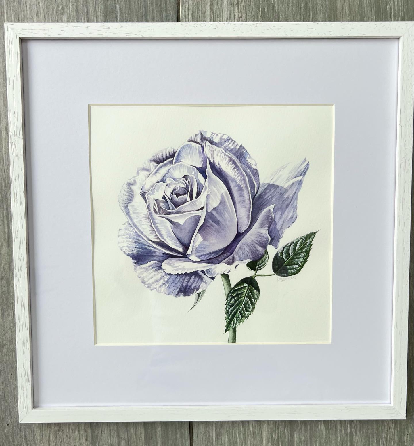 I’ve just dropped off this triptych, “Loyalty”, “Peace”, “Prosperity”, to #haslemereartsociety annual exhibition. They are all for sale, 30x30cm framed, painted in pure W&N watercolour on Arches 300gsm cotton hotpress.
You can view some wonderful artworks by Surrey artists at @haslemeremuseum, 11th-21st October (>>flyer).
I’ll also be stewarding on Weds 18th, 12.30-2.45 if you can pop by 👋 🤍
#surreyartist #haslemere #surreylife #surreyhills #watercolourflowers #mumlife #artgallery #artcollector #botanicalart