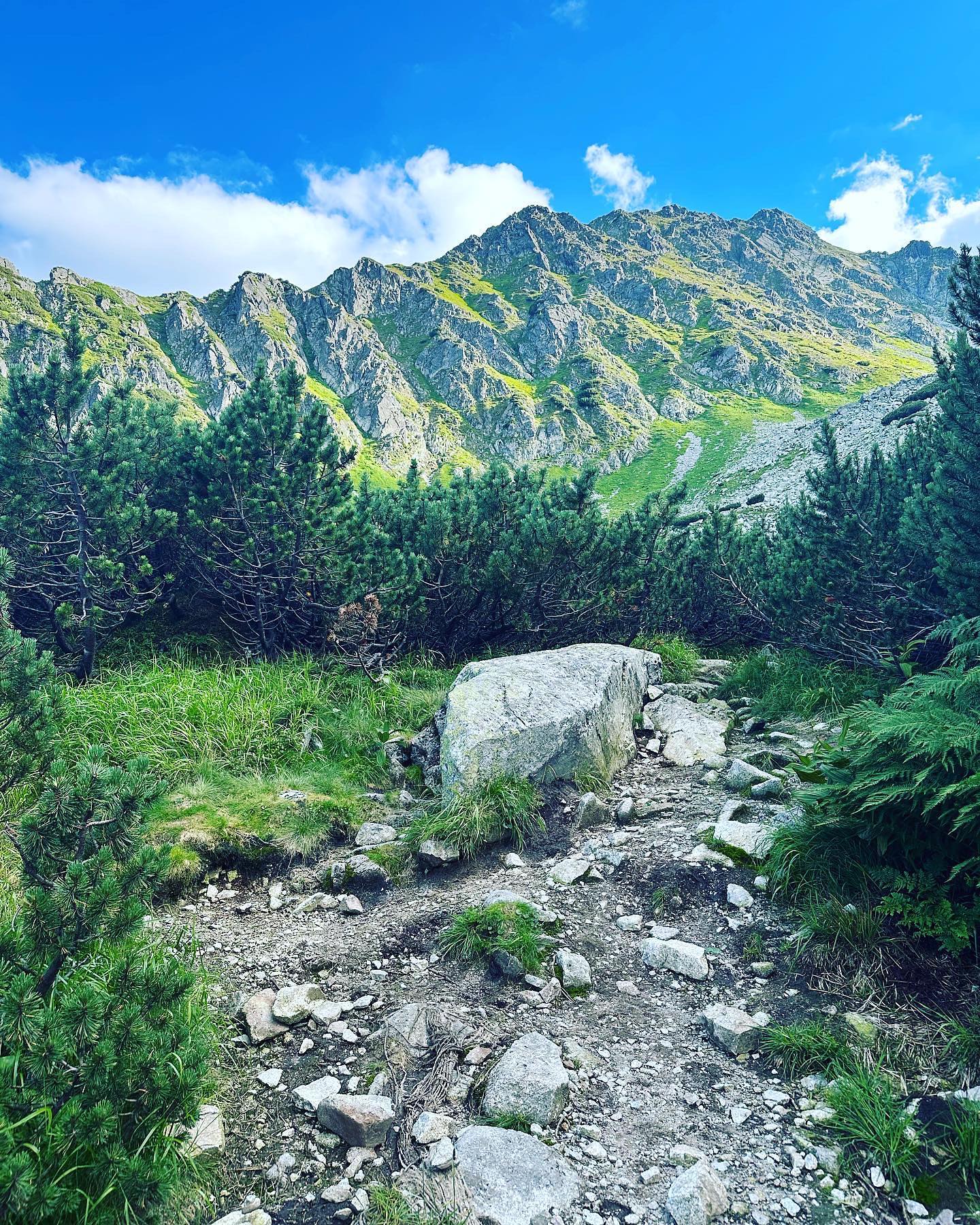 Weekend hiking in the Tatras. What was cool is that there were pretty much only locals - poles and slovaks , and okay maybe a few French people.
And the weather was perfect - sunny but cool