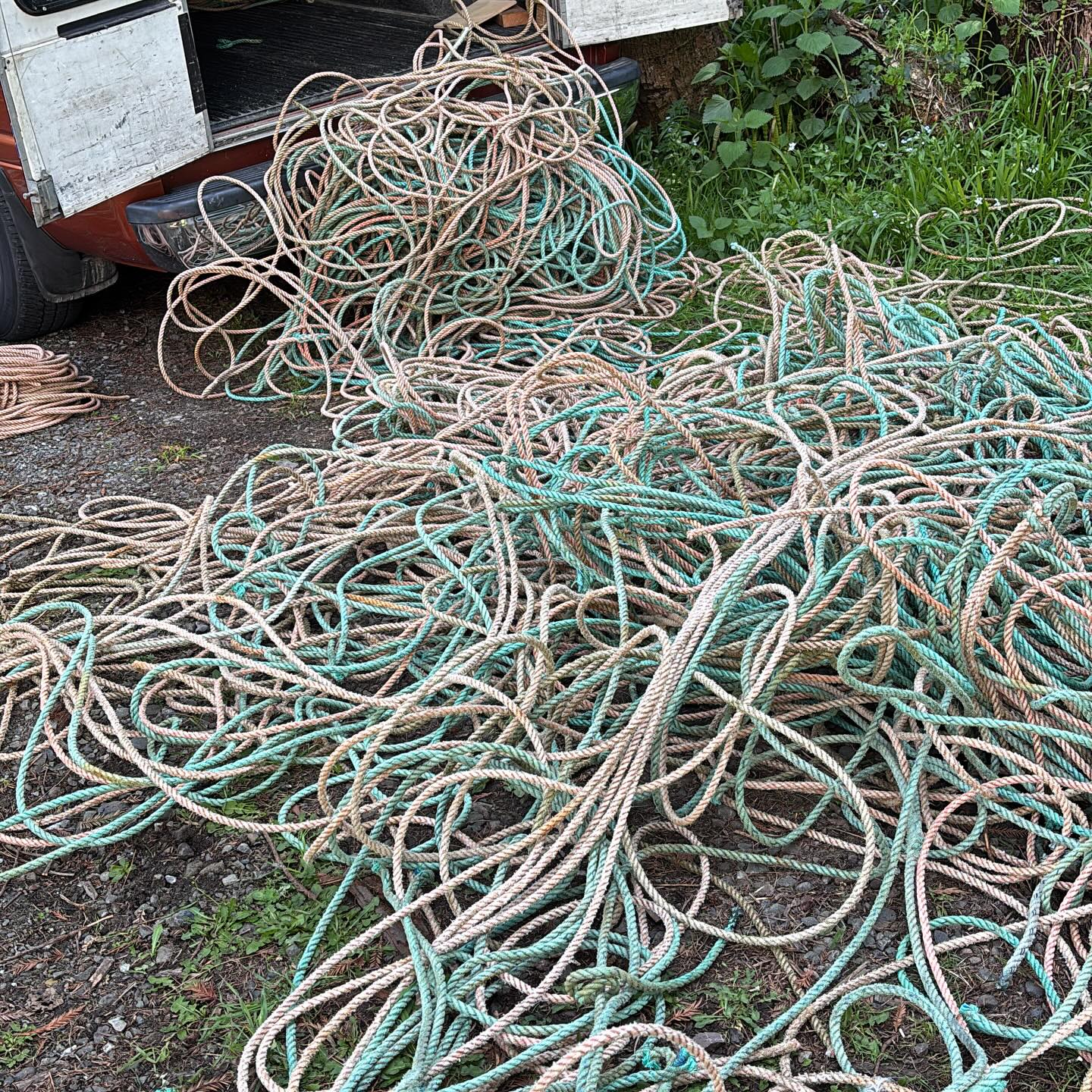 Come checkout the Arcata Farmers Market tomorrow to see what we turn this tangled mess into. Doormats and baskets!