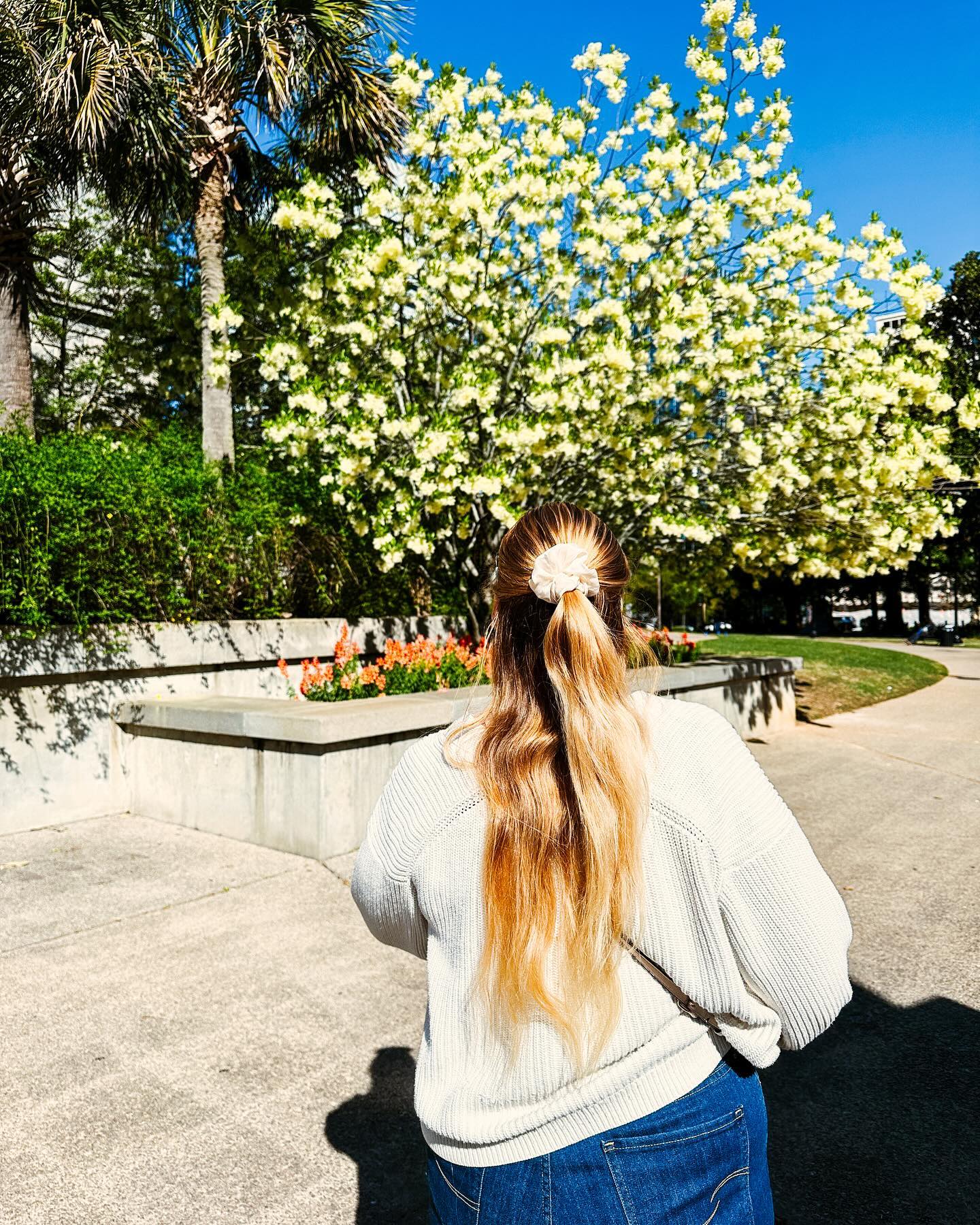Always enjoy the opportunity to explore any new location, and Columbia South Carolina approved to be quite a lovely gem. It has plenty of history, small boutiques, countless restaurants, and is easily one of the most walkable cities, I visited in the US. Overall of fun long weekend visit!
.
.
#columbiasc #exploringusa #slowandsimpledays #beautyintheeveryday #springtimevibes
