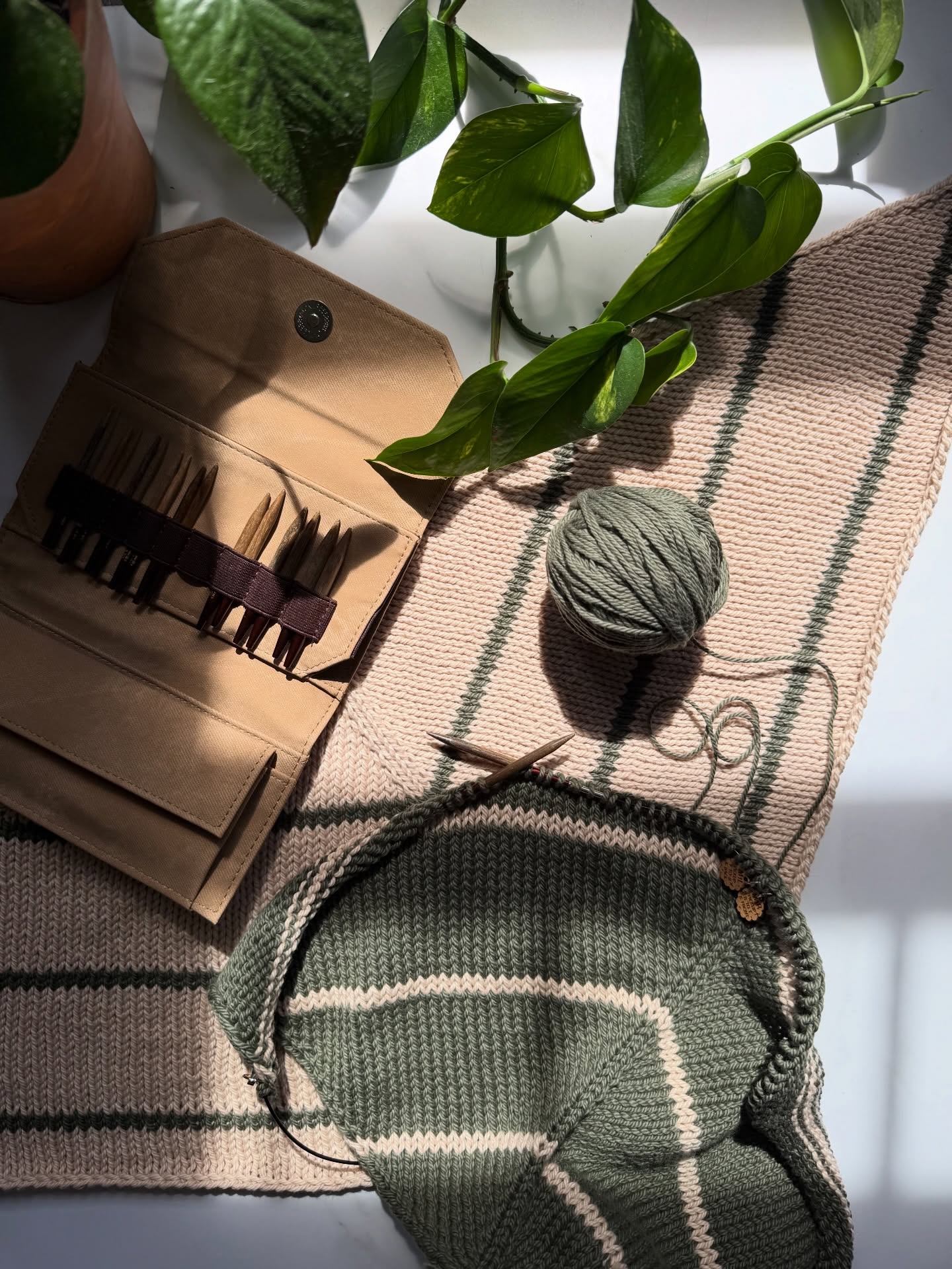 Happy 1st day of Spring! 🌷
We made it through a VERY cold and snowy winter… and honestly, that deserves a little celebration.
To welcome the new season, I’m sharing a little sneak peek of my all natural fiber collection, something I’m making a priority to design this year. First up in the collection is my all seasons scarf (still to be named).
Made from 100% cotton, it’s light, cozy, and a perfect addition to your wardrobe.
🚀Launching this May!
#knitwear #springstyles #slowfashion #firstdayofspring
