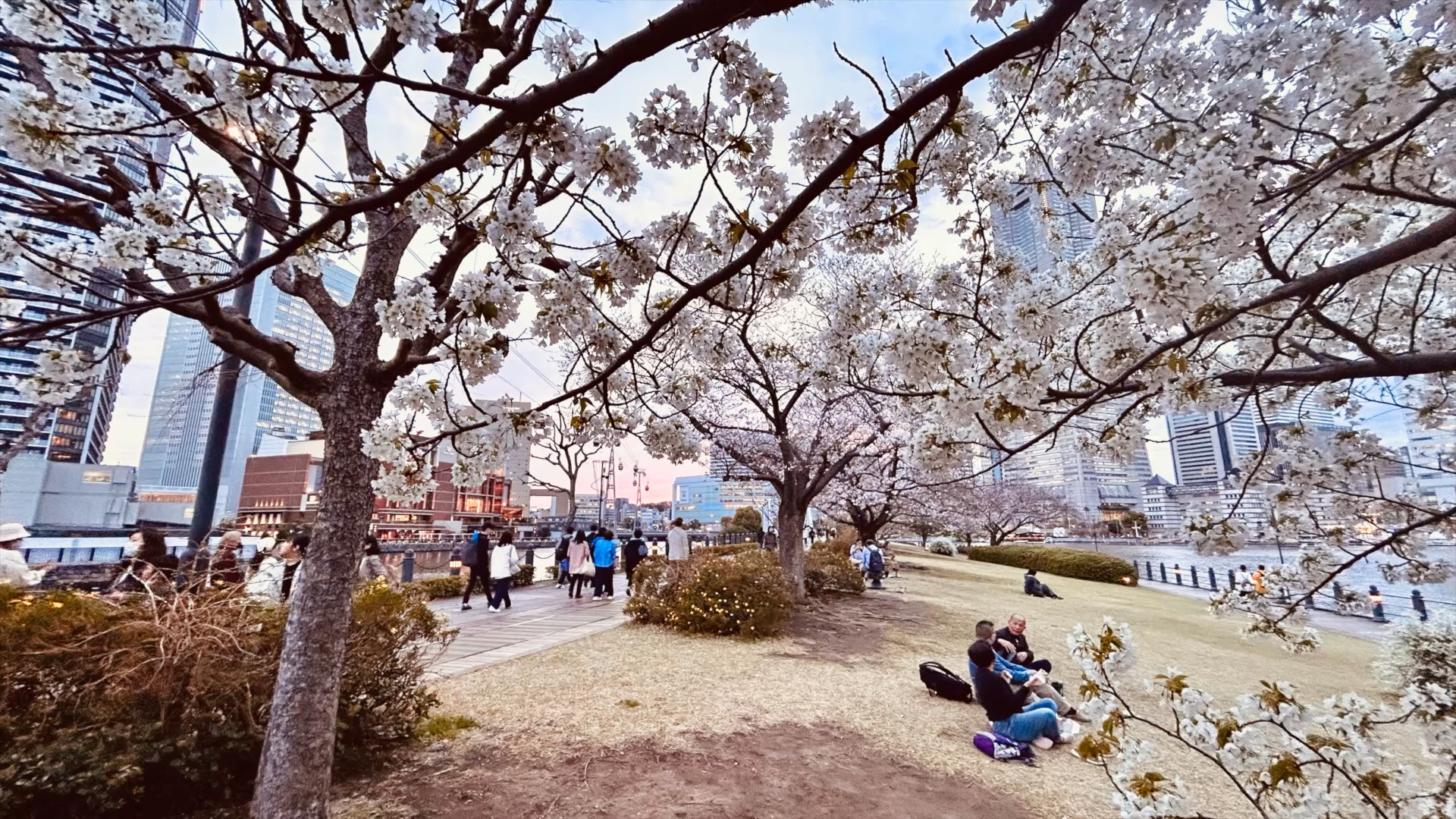 桜の季節がやってきました。桜と一緒に歴史的建造物を愛でてみませんか? #歴史を生かしたまちづくり #桜と歴史的建造物
→神奈川・横浜の歴史を生かしたまちづくりのニュースは
https://www.heritagetimes-yk.com
「ヘリテイジタイムズ」で検索