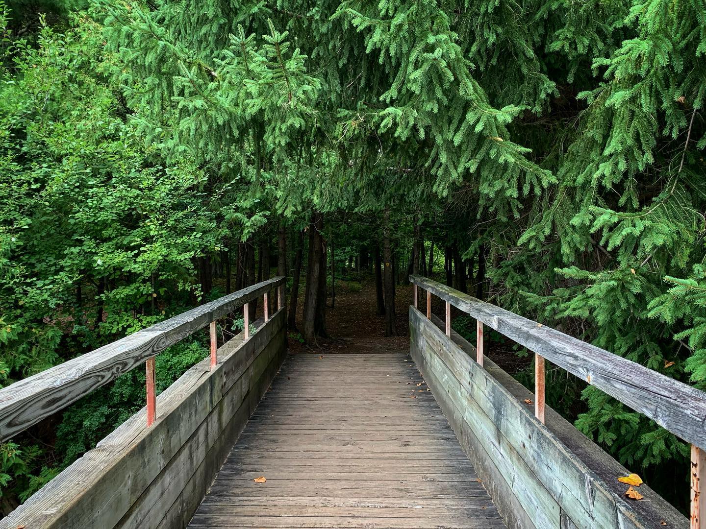 Sometimes I’ll pass a sign for a trailhead a hundred times before actually stopping to check it out… sometimes it’s because I’m in a hurry to get where I’m going, or because the trail is just outside town and how beautiful / natural / scenic could it be if it’s practically in town?
Finally made the time to walk some of the trails along the Boardman late this summer and was so, so rewarded 😌
.
.
#puremichigan #upnorth #upnorthmichigan #themightymitten #optoutside #outdooradventures #midwestliving #midwestlivingmag #michigrammers #optoutside #michigan #greatlakes #greatlakeslocals #greatlakesstate #greatlakesloving #milakelife #upnorthlife #lakemichigan #gtliving #michiganders