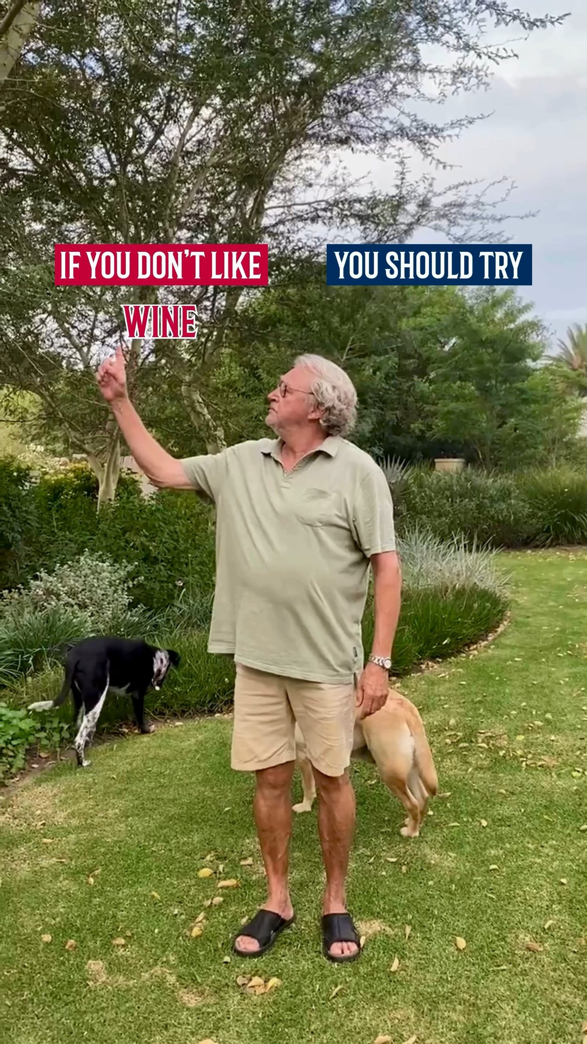 You haven't really tasted BESTER Family Wines until you've tried it on our stoep 🍷⛰️🍇🐶
Discover our wines right where they were dreamed up and lean into the lekker vibe.
R 150 | LIGHT SNACKS | MAX 6 GUESTS | 48H NOTICE
Email zakkie@besterwines.com to book
#BesterFamilyWines
#SwartlandWineTasting
#StoepSessies
#VisitTheSwartland
#SwarlandHartland
