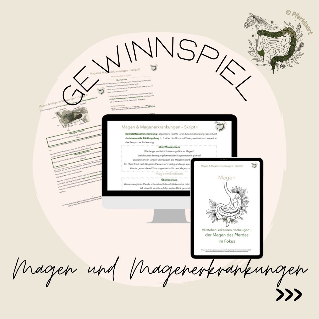 Es ist endlich geschafft, das neue Skript Magen und Magenerkrankungen ist da! 🥳💚
Du hast die Chance ein Skript kostenlos zu gewinnen! 🐴✨
📅 Die Auslosung erfolgt am 30.03.2026!
So nimmst du teil:
✅ Folge mir & like diesen Post ❤️
✅ Teile den Post in deiner Story & verlinke mich 📲
💡 Worum geht’s im Skript?
Auf 270 Seiten erhältst du fundiertes, verständlich aufbereitetes Wissen rund um den Pferdemagen, seine Funktion und die Entstehung von Magenerkrankungen – praxisnah, alltagstauglich und fachlich fundiert.
Du lernst nicht, Diagnosen zu stellen, sondern Zusammenhänge zu verstehen, Ursachen einzuordnen und fundierte Entscheidungen für dein Pferd zu treffen.
Im Fokus steht dabei nicht die Anwendung einzelner Produkte oder feste Fütterungsschemata, sondern das Verständnis dafür, wie der Magen funktioniert, wie Erkrankungen entstehen und wie verschiedene Maßnahmen im Zusammenhang wirken können.
📆 Das Skript gibt es ab heute auf www.pferklaert.de – offizieller Preis: 89,99 €
Das vollständige Inhaltsverzeichnis und einen Blick ins Buch erhältst du auf meiner Website 👀
📢 Teilnahmebedingungen:
Dieses Gewinnspiel wird von Pferklaert - Julia Abraham veranstaltet und steht in keiner Verbindung zu Meta oder Instagram. Teilnahmeberechtigt sind Personen ab 18 Jahren mit Wohnsitz in Deutschland und Österreich. Der Gewinn ist nicht übertragbar und wird nicht in bar ausgezahlt. Das Gewinnspiel läuft vom 28.03.2026 bis zum 29.03.2026. Der/die Gewinner/in wird per Zufallsprinzip ermittelt und über Instagram benachrichtigt. Der Rechtsweg ist ausgeschlossen.
Viel Glück! 🍀