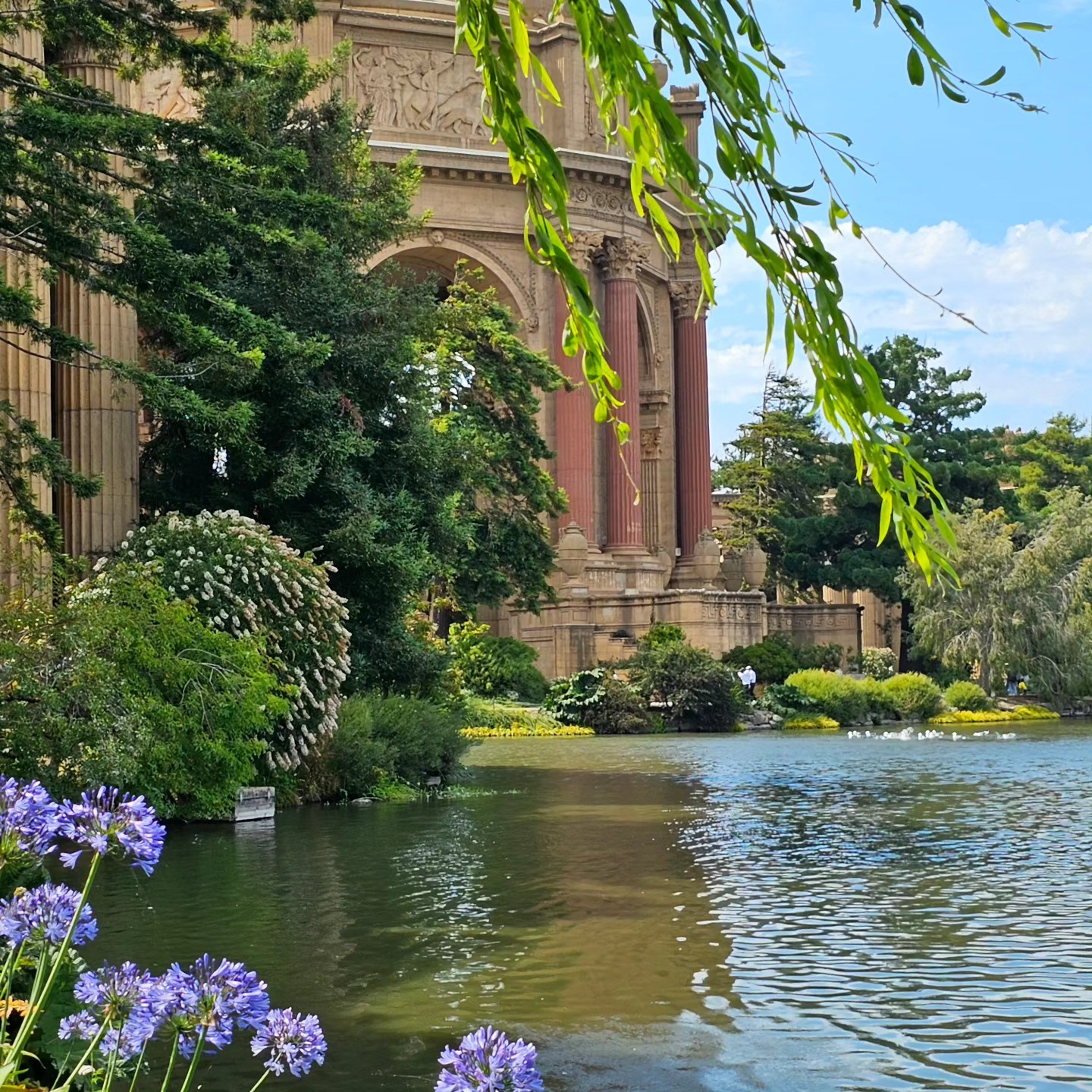 Palace of Fine Arts
7.16.23