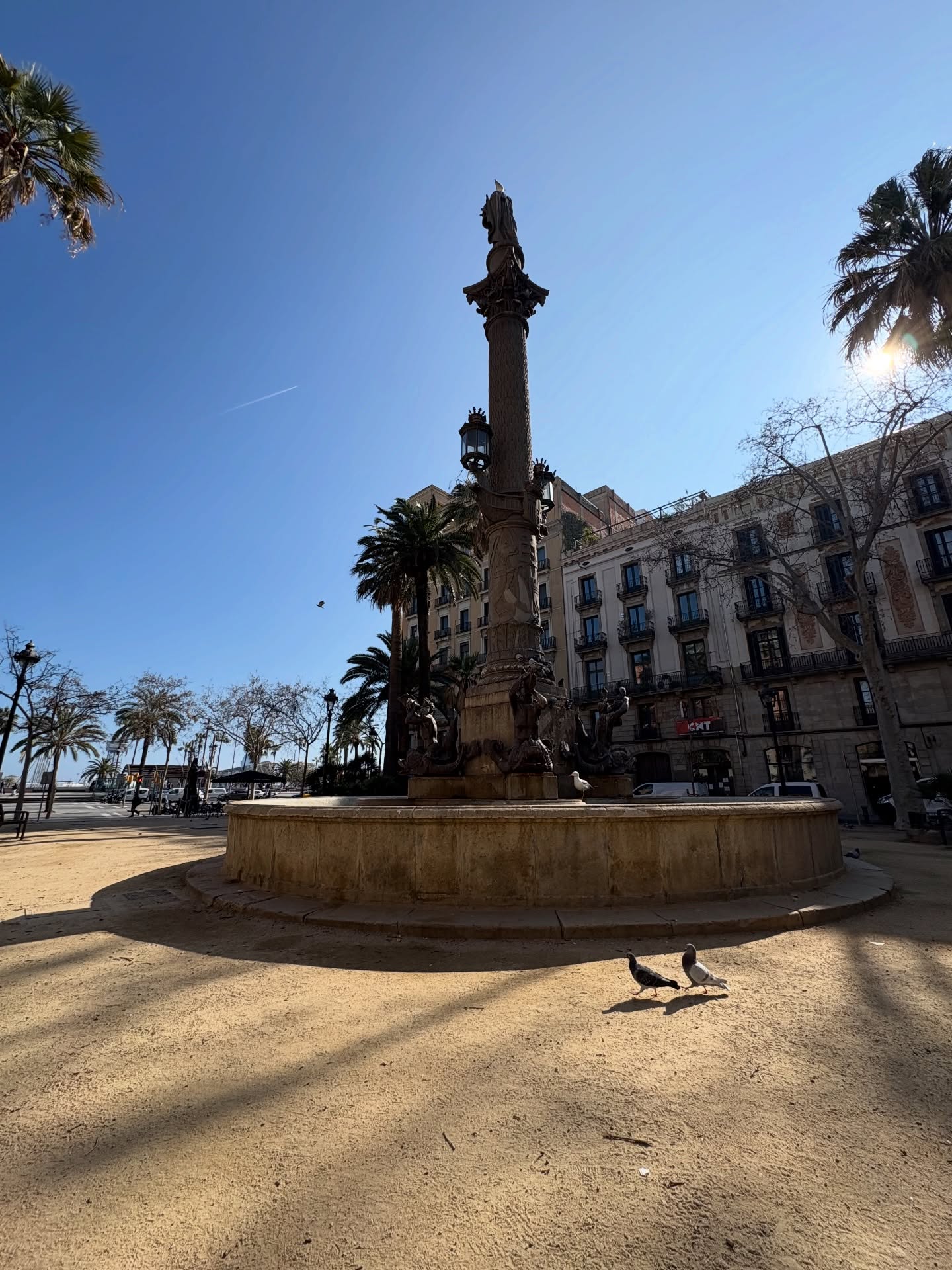 Barcelona por la mañana…. ☀️🦜