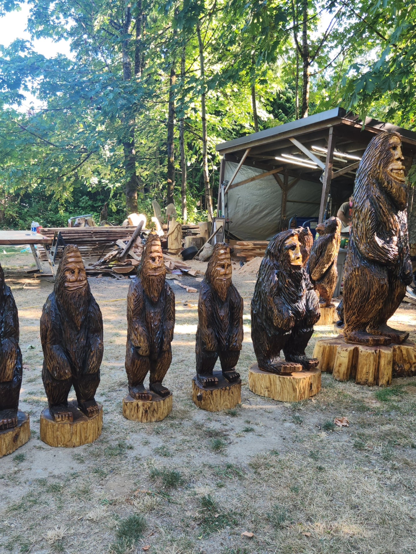 Current Sasquatch's available 7/28/25