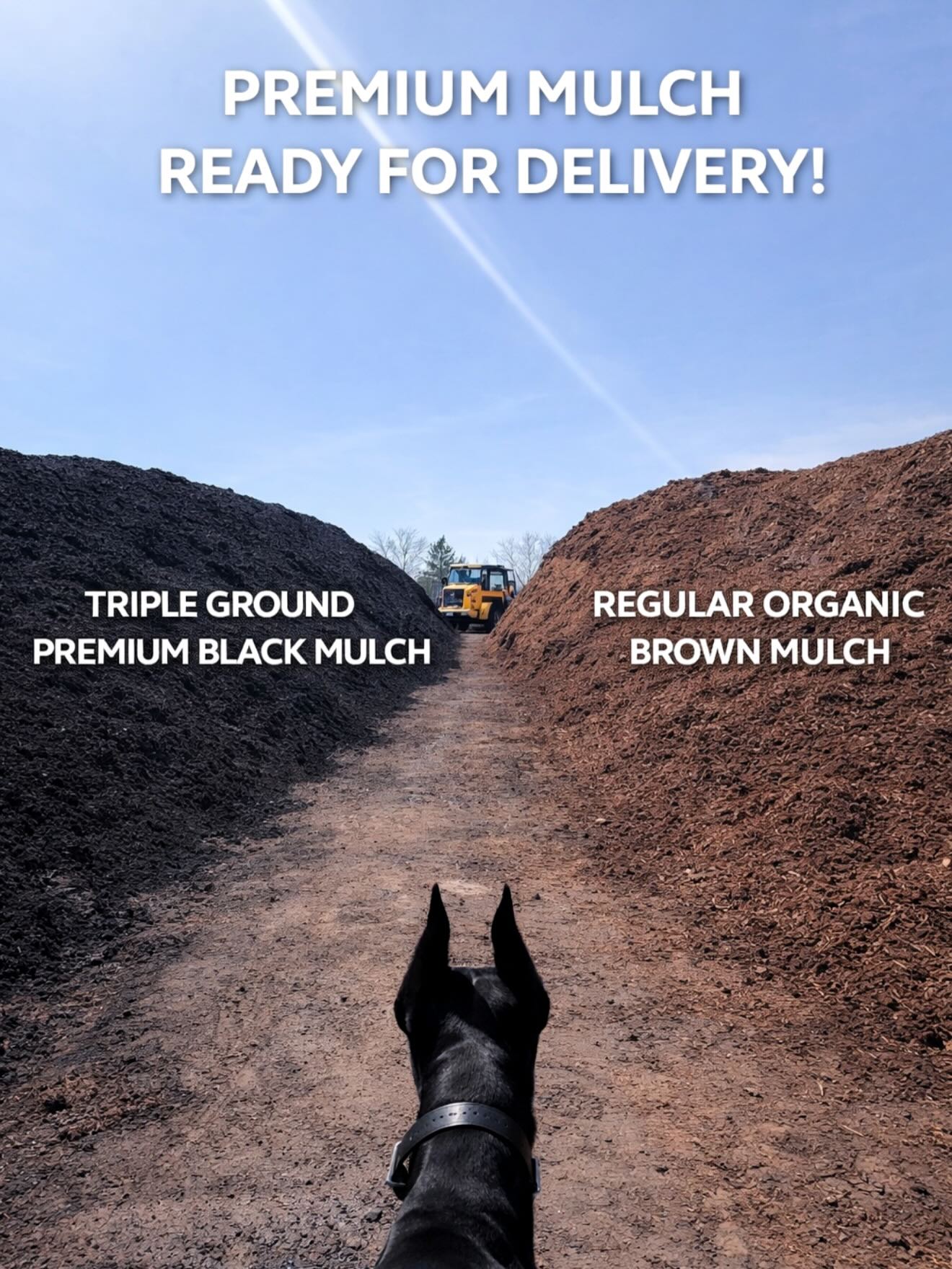 π± WE MAKE OUR OWN MATERIAL π±
At Jayβs Yard Maintenance, we donβt just deliver,
we CREATE, SUPPLY & DELIVER everything ourselves π
π Triple Ground Premium Black Mulch
πΏ Regular Organic Brown Mulch
π± Screened Organic Topsoil
Youβre getting fresh, high-quality material straight from our yard to your property.
π Bulk delivery available
π‘ Residential & commercial
#njlandscapes #mulch #topsoil