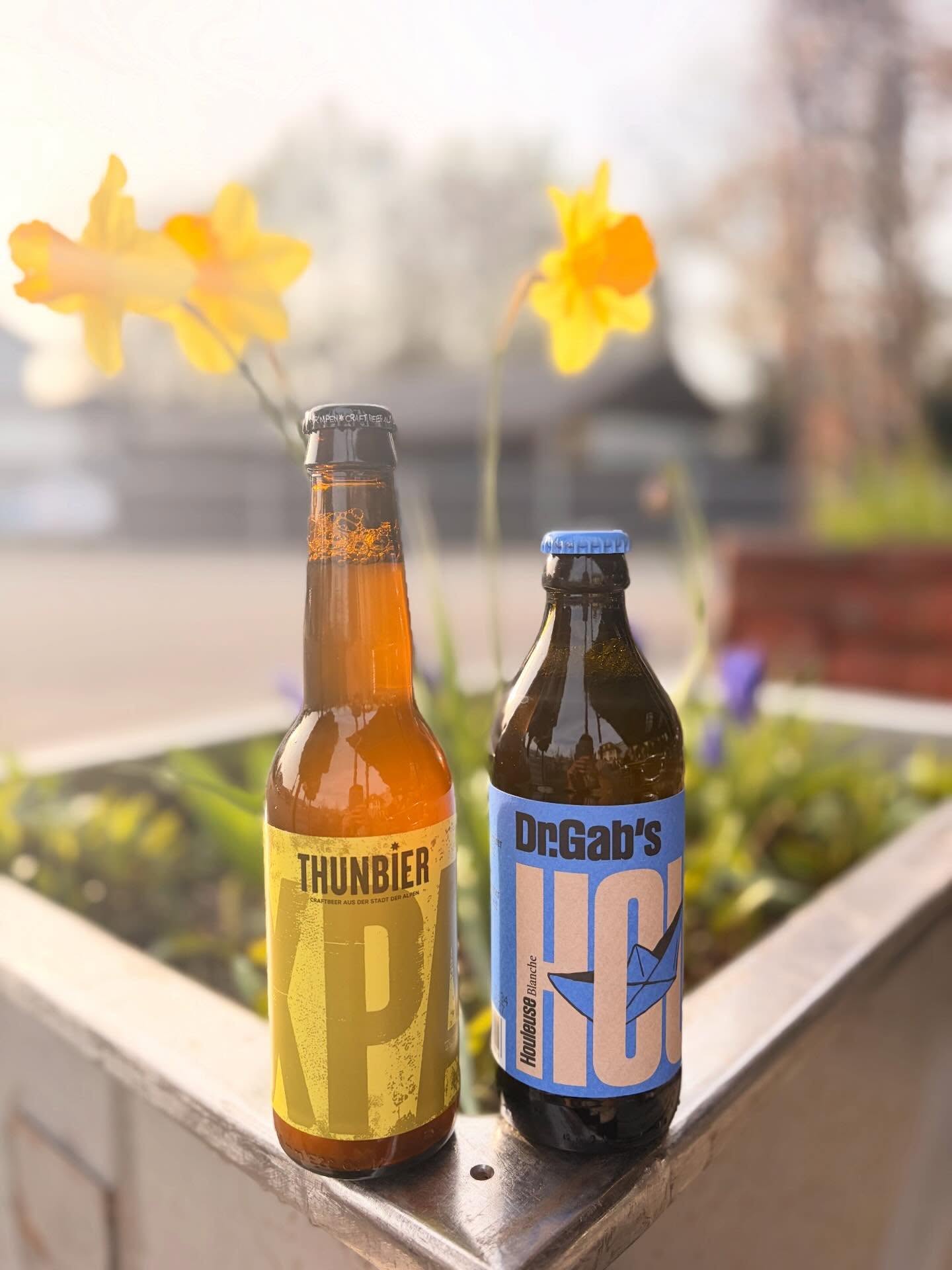 Neue Frühlinsbiere🍺🙌
Ab heute haben wir zwei neue Spez-Biere im Angebot🙌🍺!
XPA von @thunbier :
Das „Extra Pale Ale“ überzeugt mit seinen fruchtigen, topischen Noten & nur 1.9% Alkoholgehalt😉!
Houleuse von @docteurgabs :
Das Holeuse ist ein Weizenbier nach belgischem Stil gebraut😋! Orangenschalen und Koriandersamen bringen dem Bier den typischen „Wit-Bier“ Geschmack🙌! Erfrischend & leichte Bitternoten - perfekt für den Frühling!☀️
Viel Spass beim degustieren & geniessen!🙌🍻
#freibankbern #beer #drinklocal #drgabs #thunbier